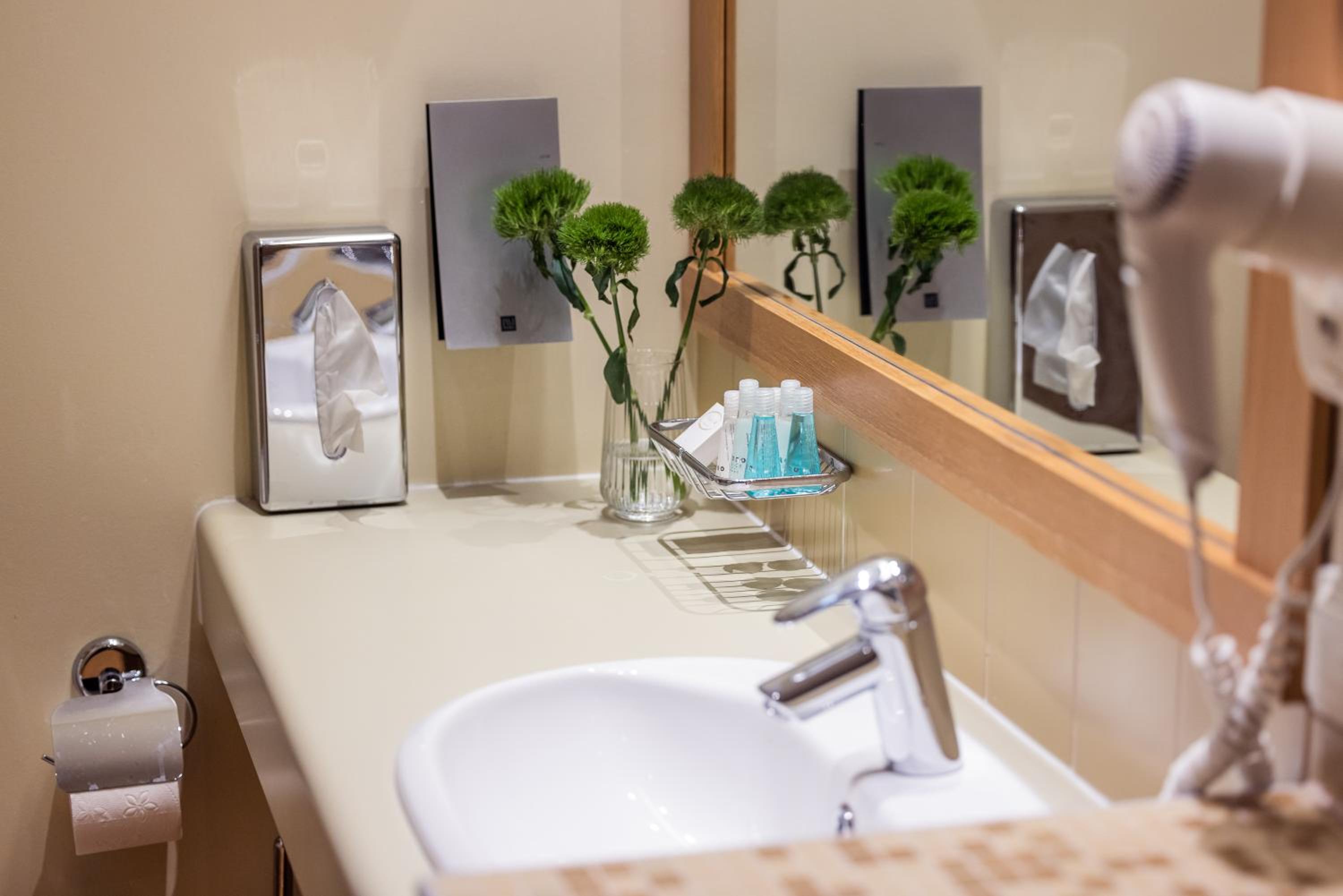 Suite with Spa Access photo 2