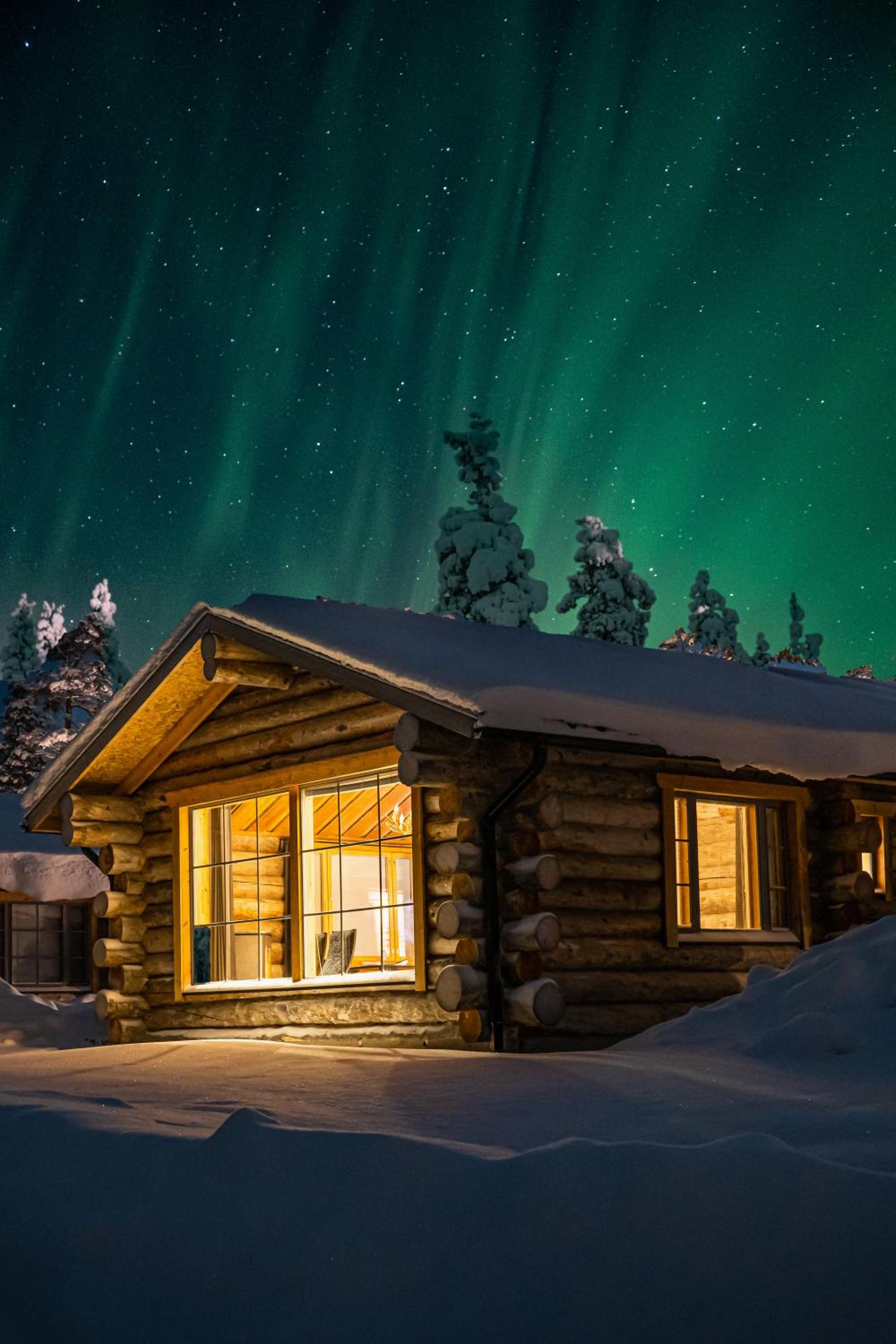 Panorama Log Cabin photo 2