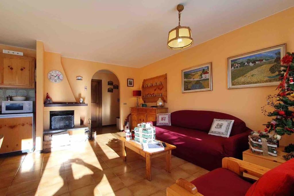Apartment with Terrace photo 3