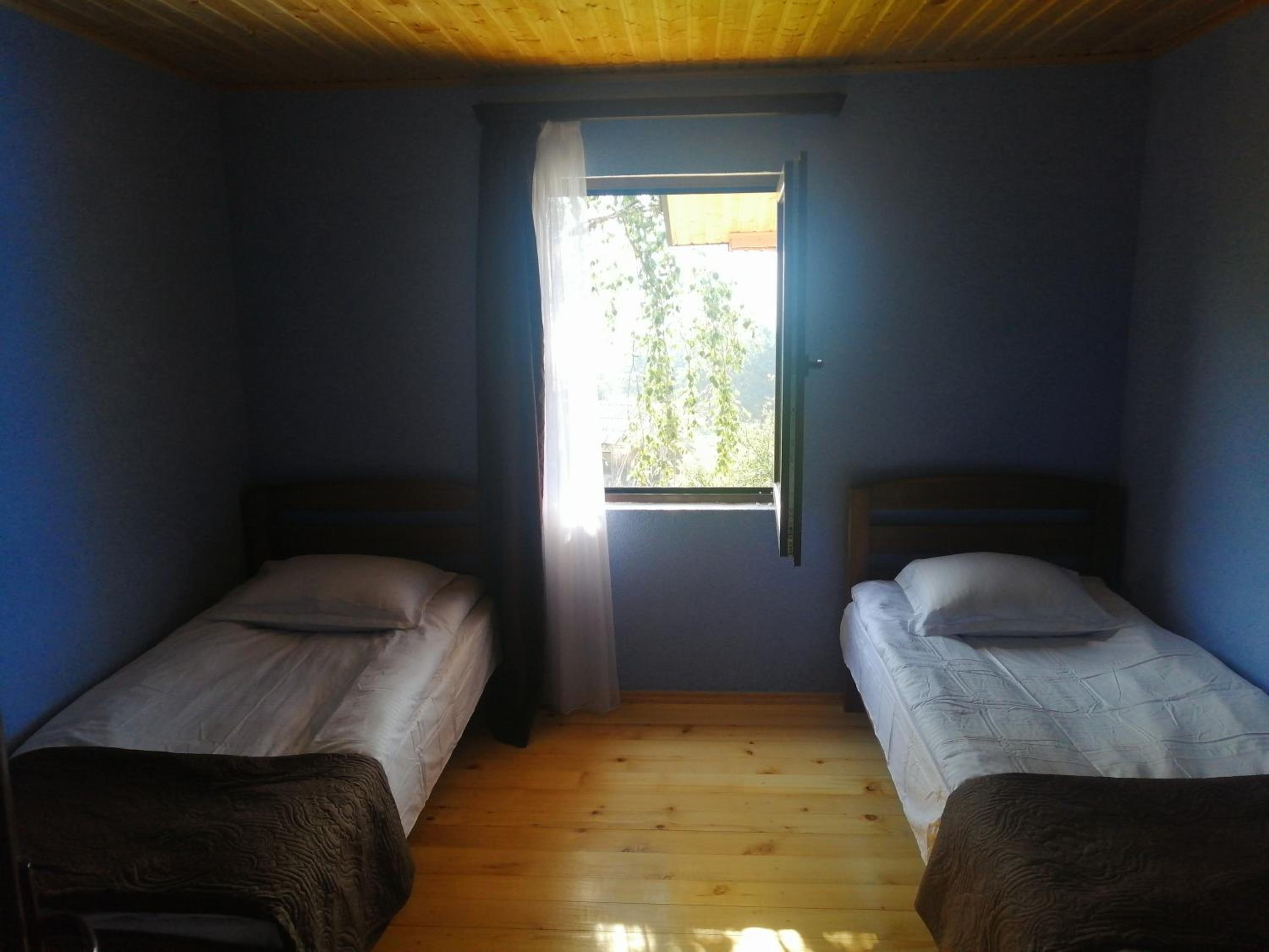 Twin Room photo 2