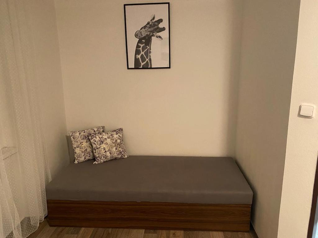 One-Bedroom Apartment - Photo 11