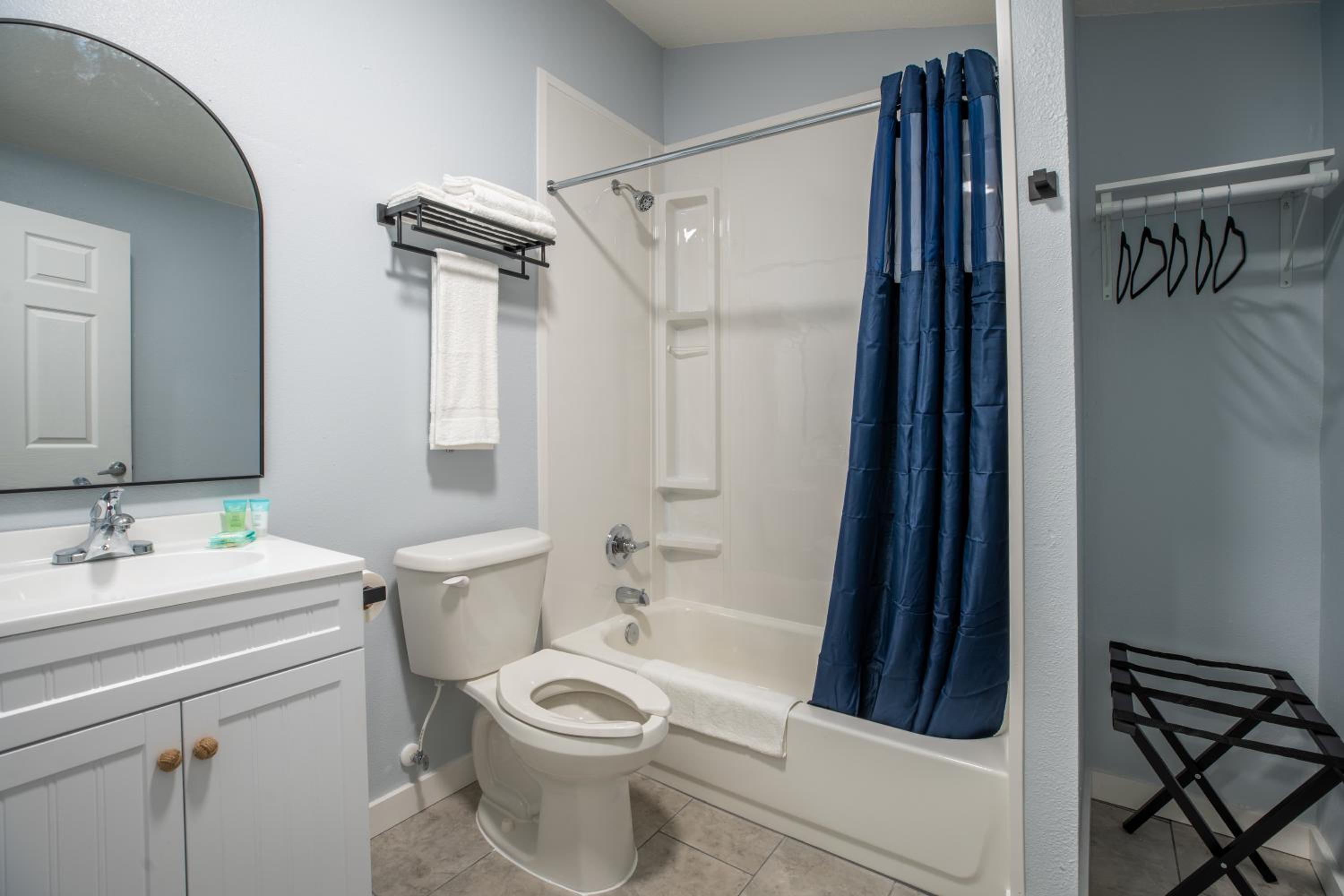 Deluxe King Suite - Photo 12