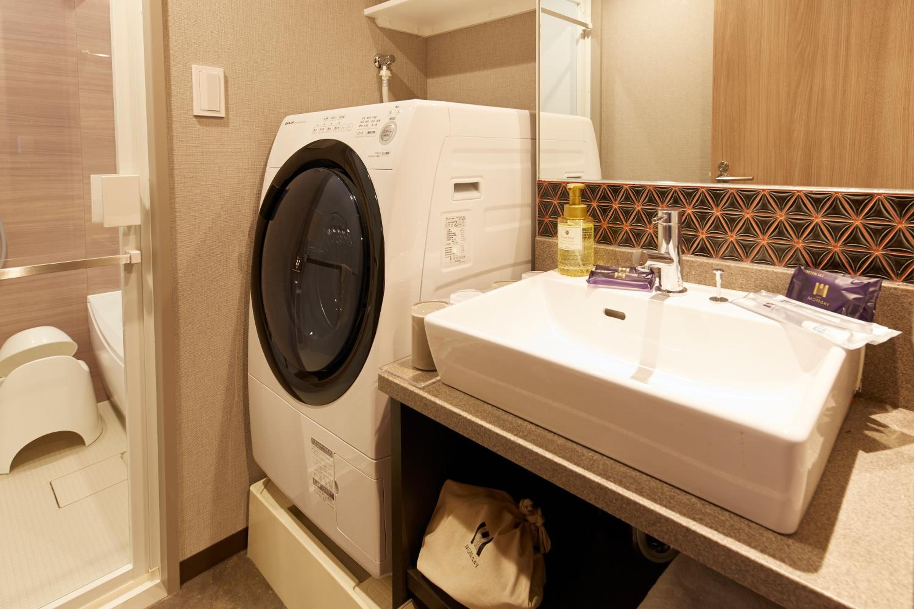 Basic Family Room with Washing Machine photo 3