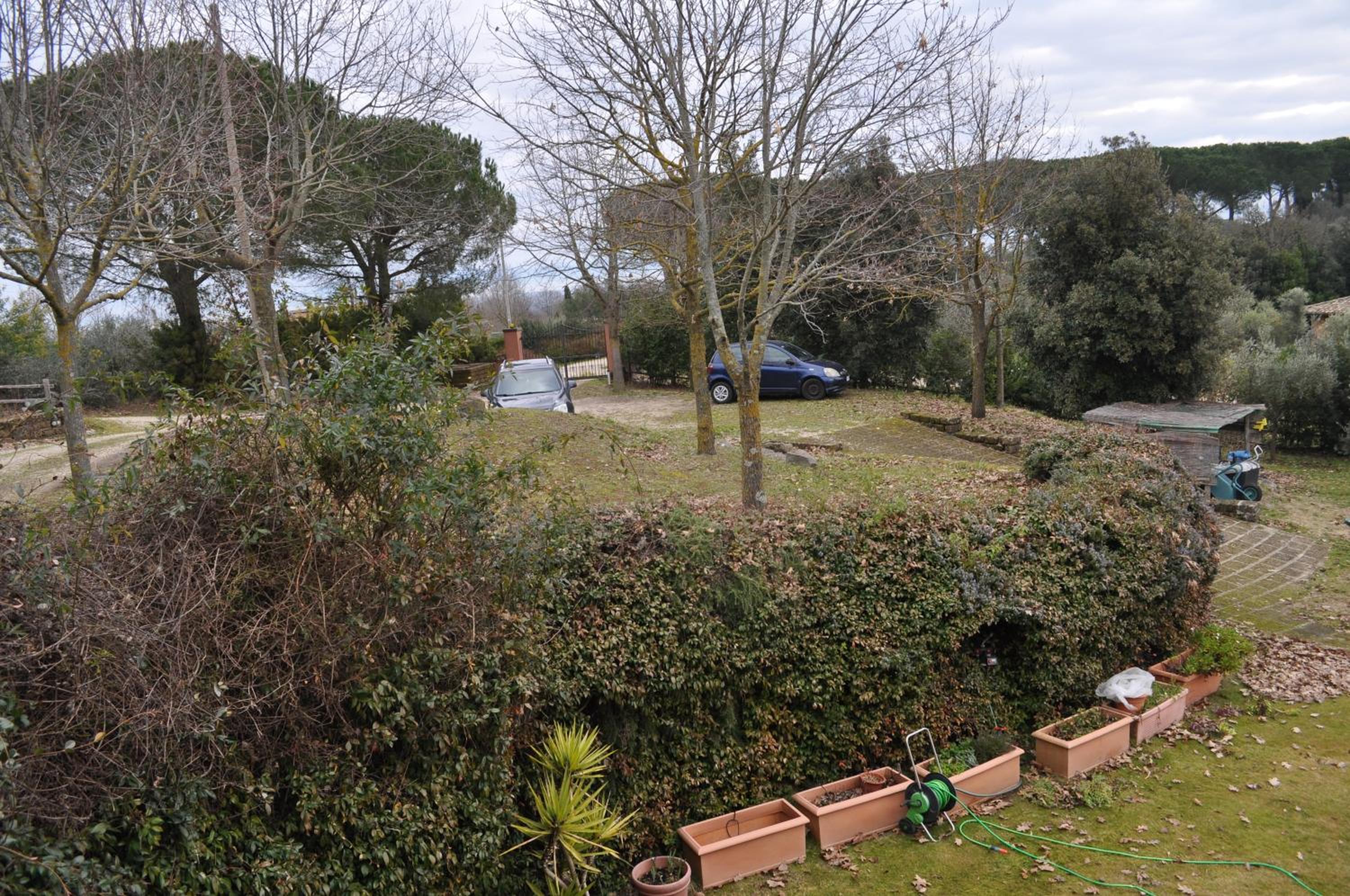 Twin Room With Garden View photo 3