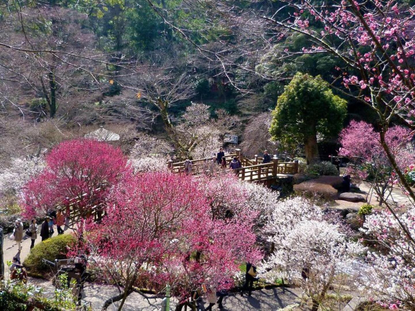 Vacation Home - Photo 7