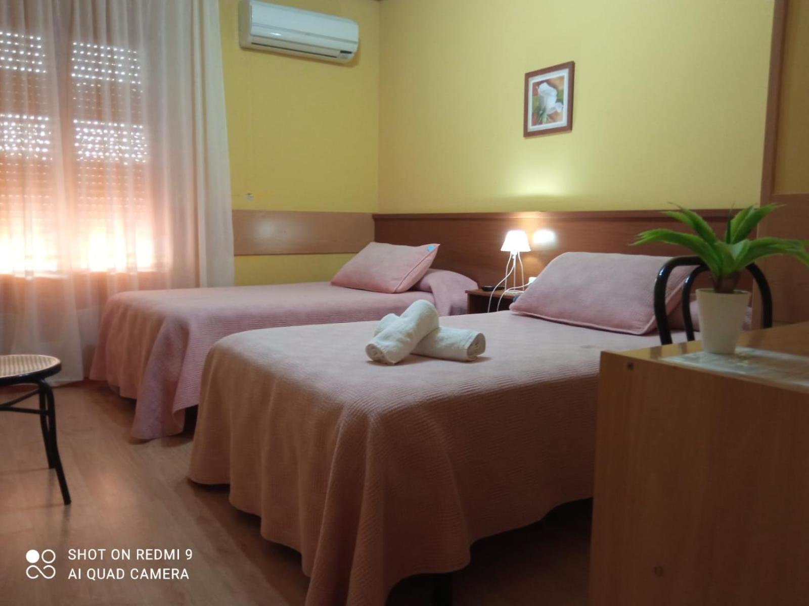 Twin Room photo 3