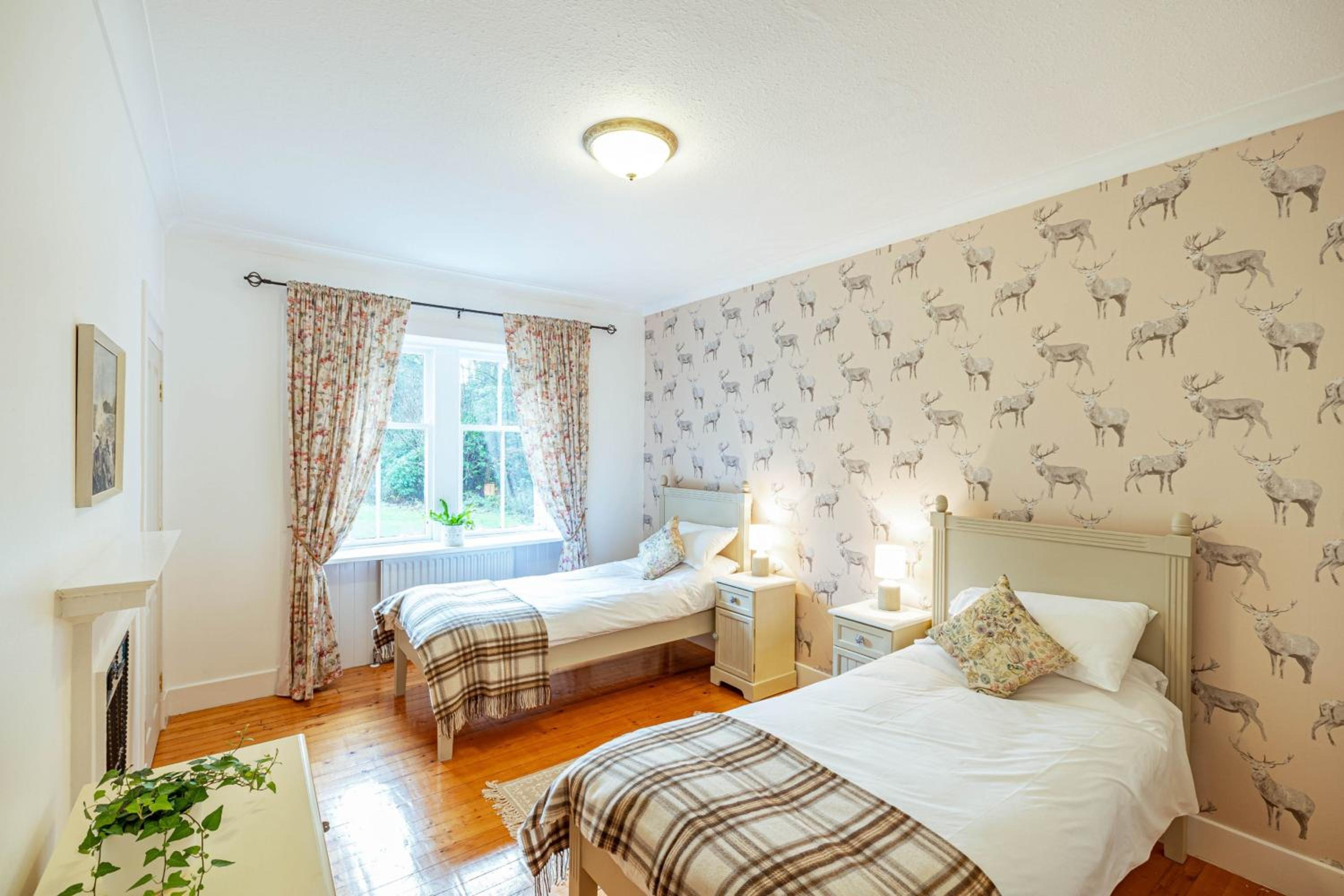 Holiday Home photo 1
