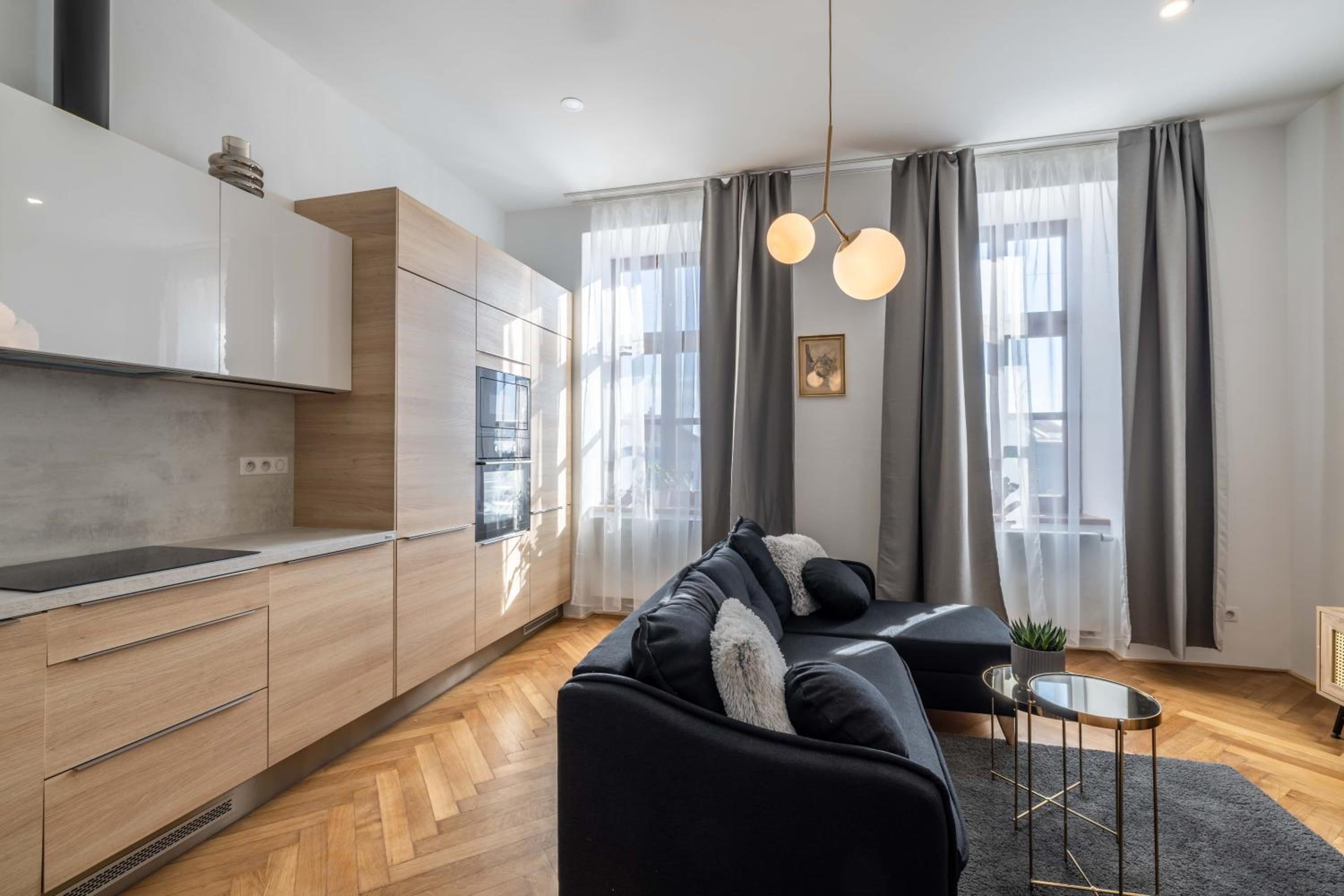 Studio Apartment with King Bed photo 3