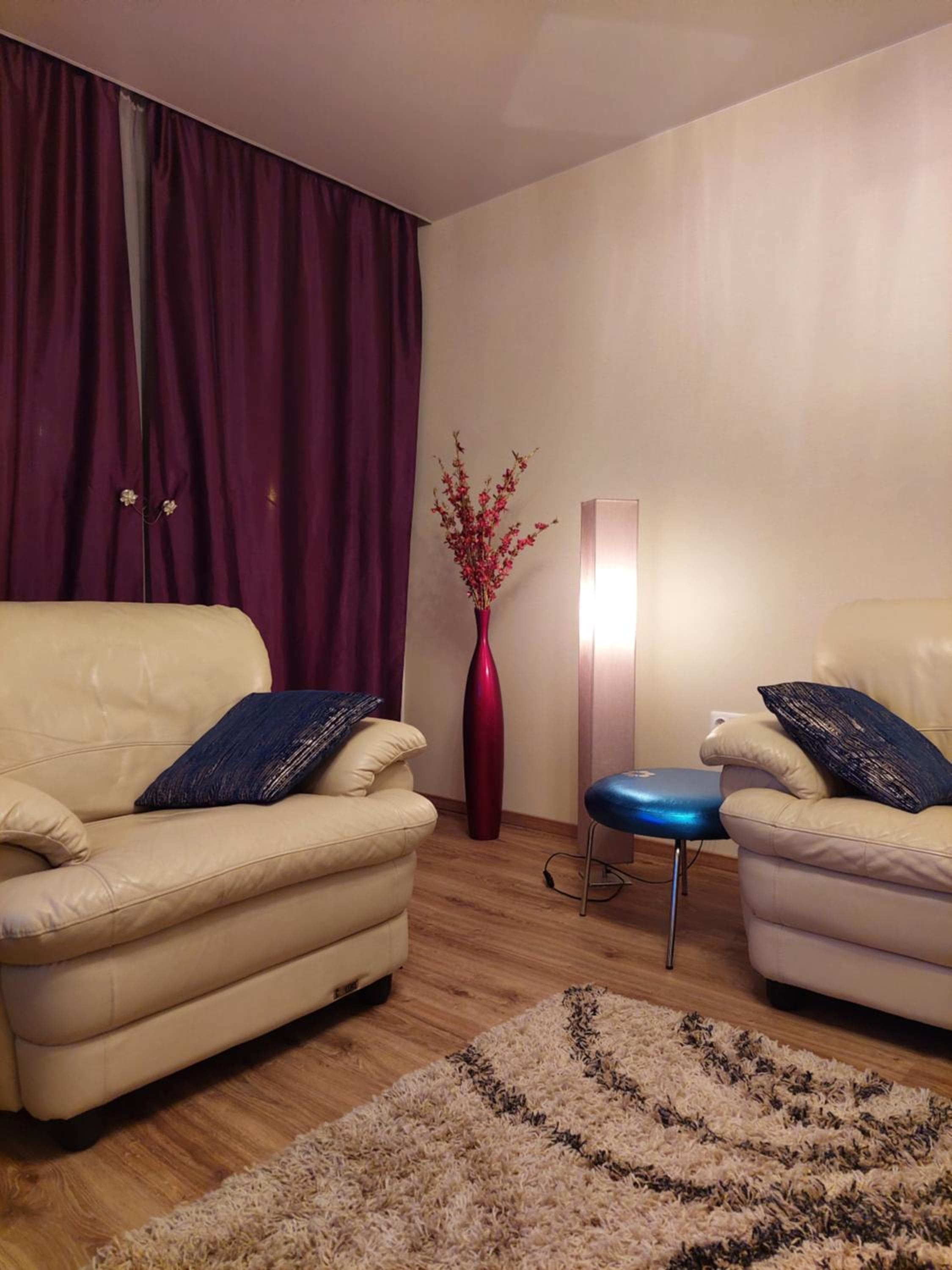 One-Bedroom Apartment - Photo 3