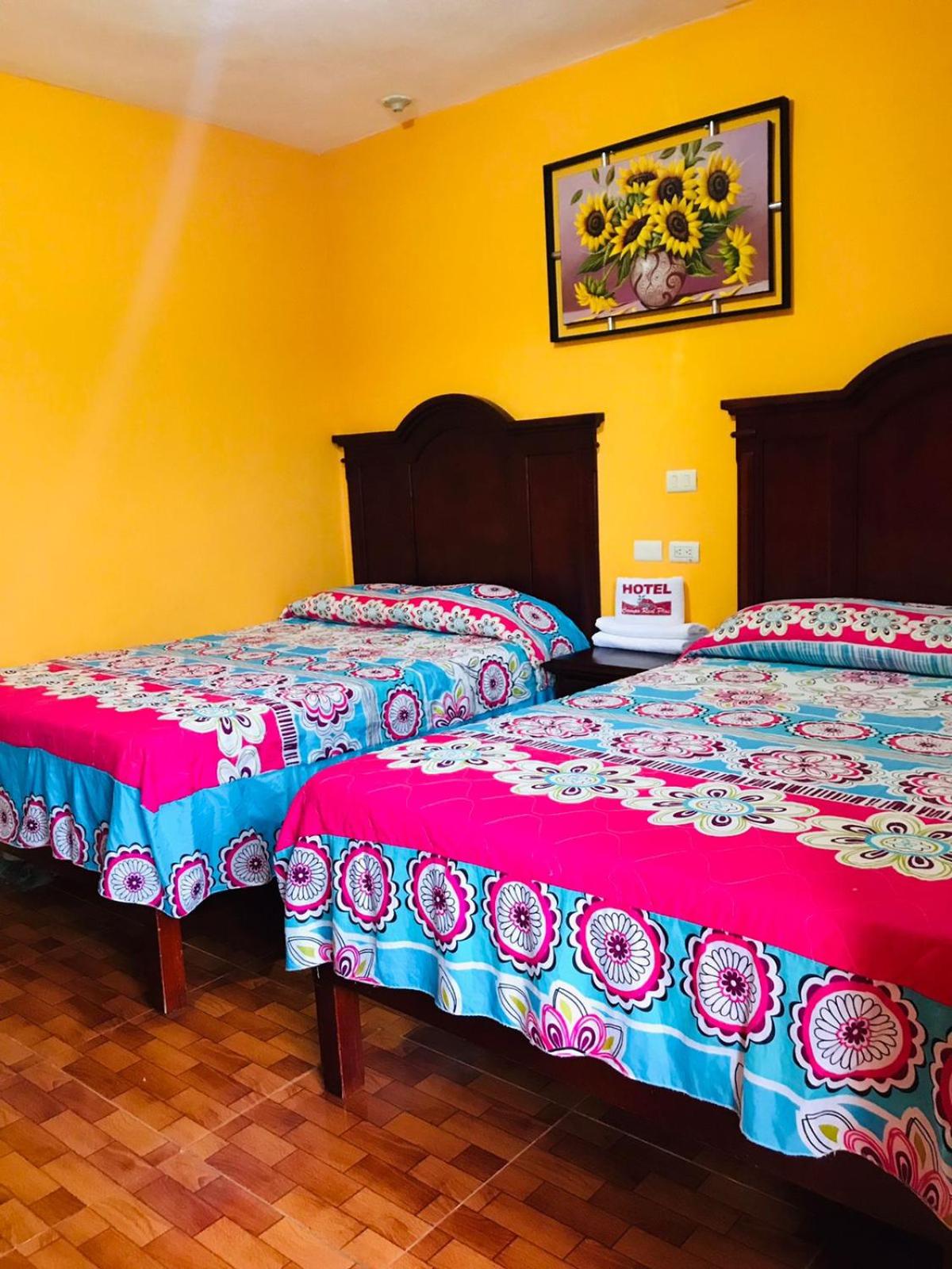 Twin Room - Photo 1