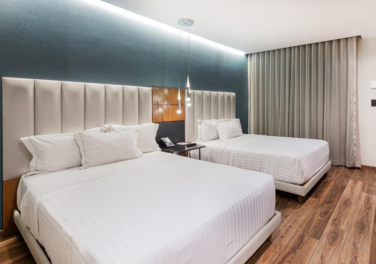 Executive Double Room - Photo 7