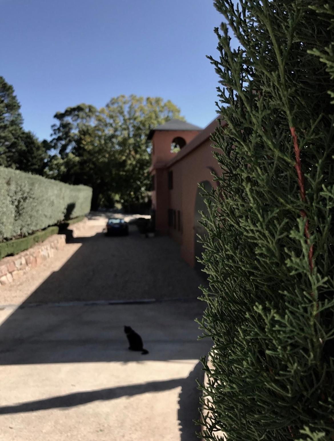 Deluxe Villa photo 2