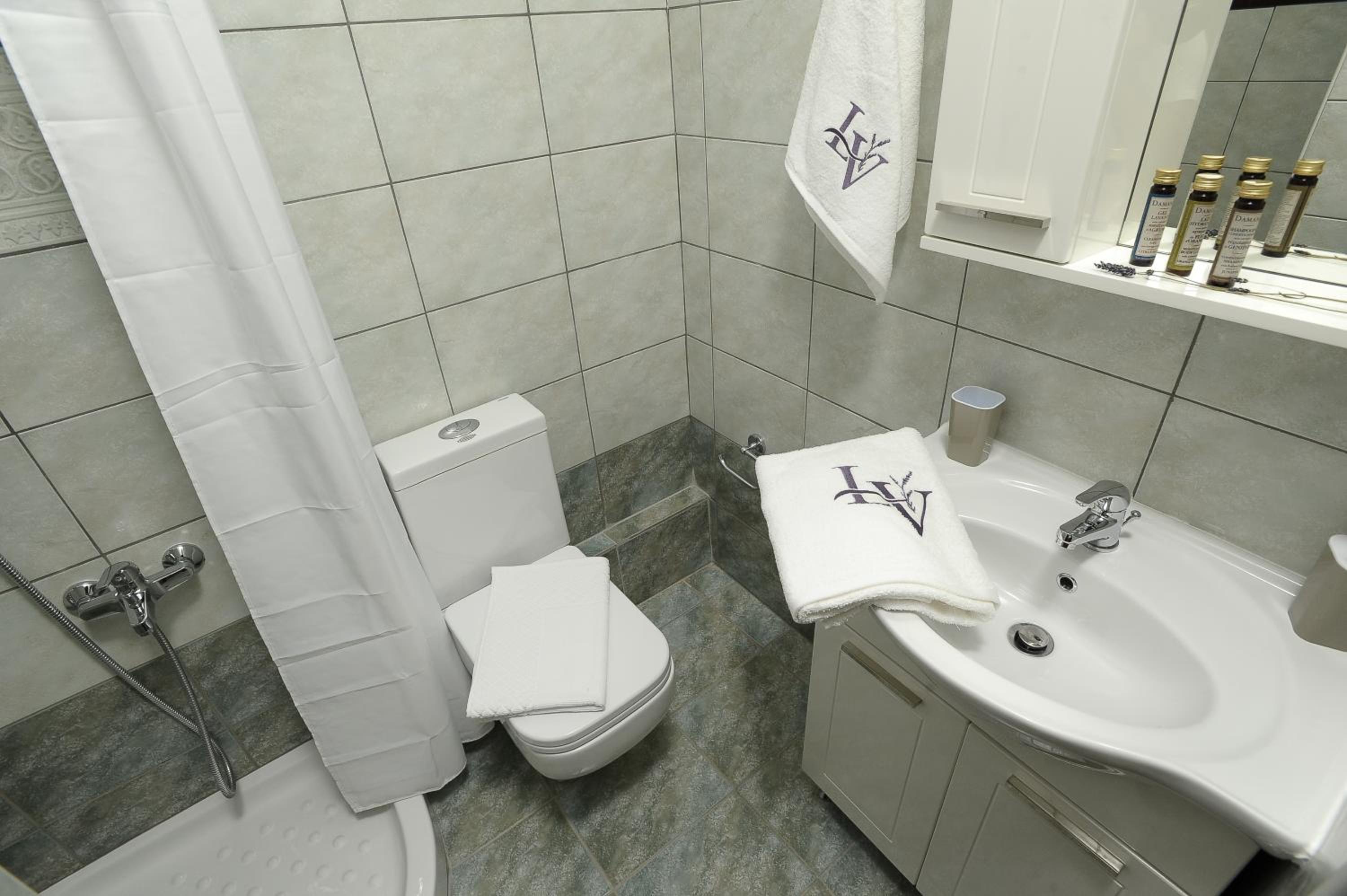 Deluxe Villa photo 3