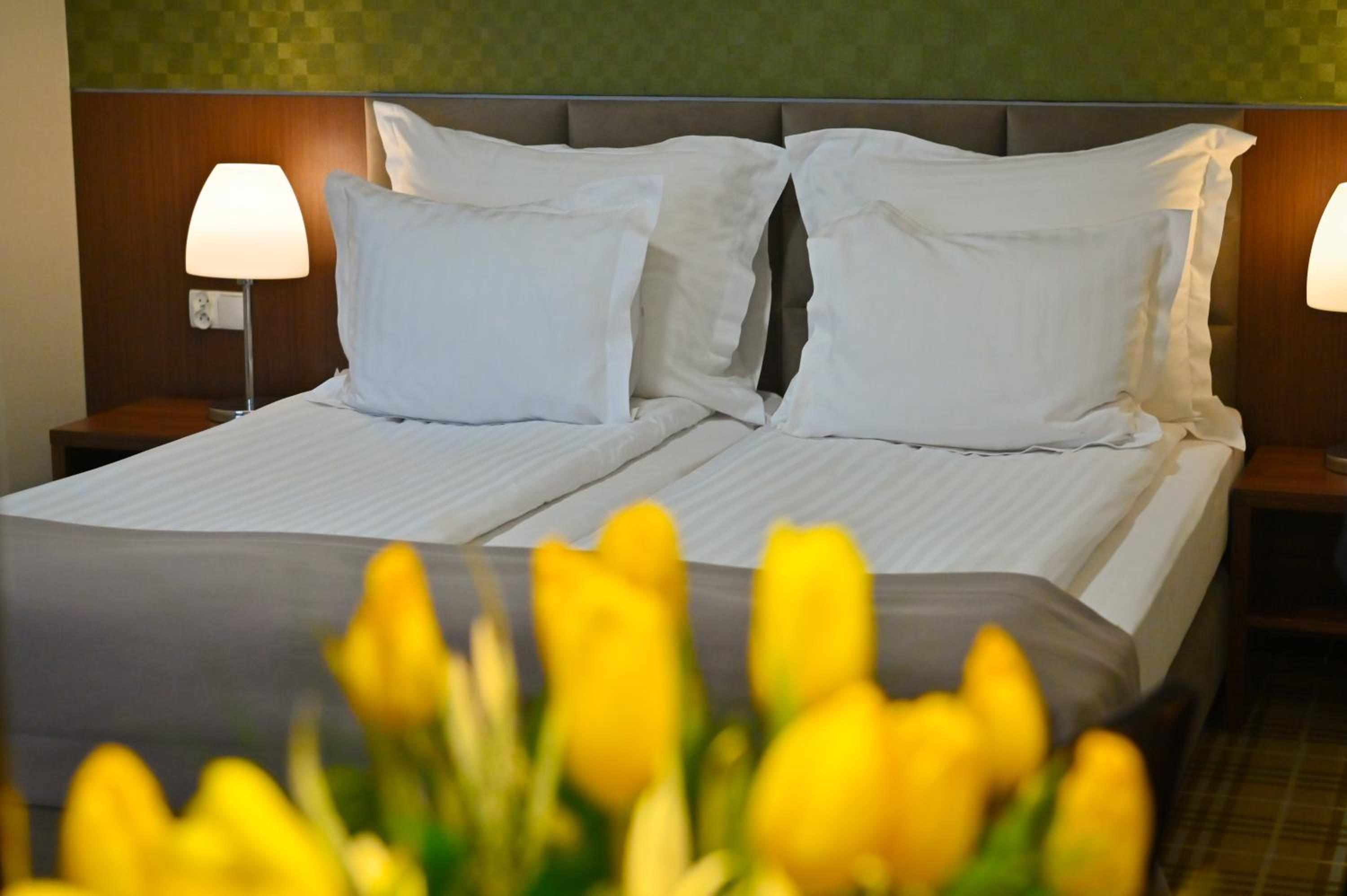 Standard Queen Room - Photo 2