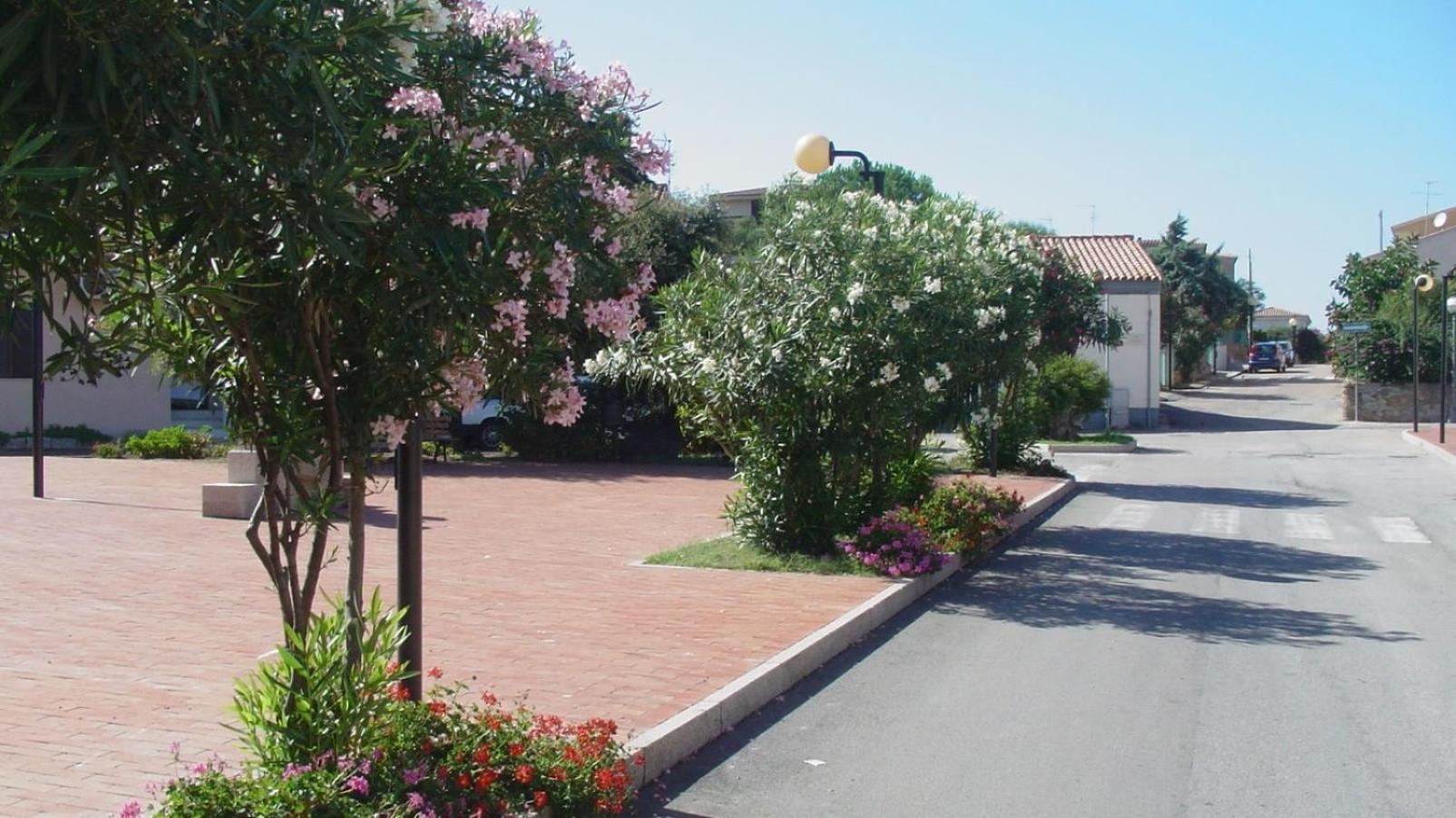 Apartment with Terrace photo 3