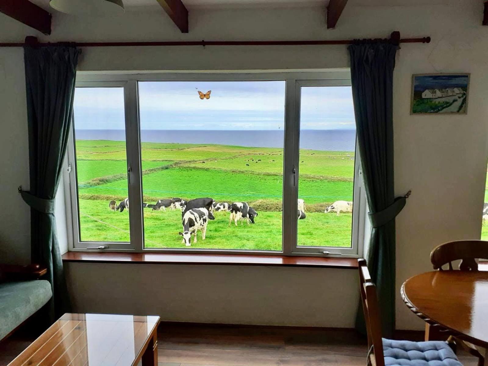 Three-Bedroom Cottage photo 2
