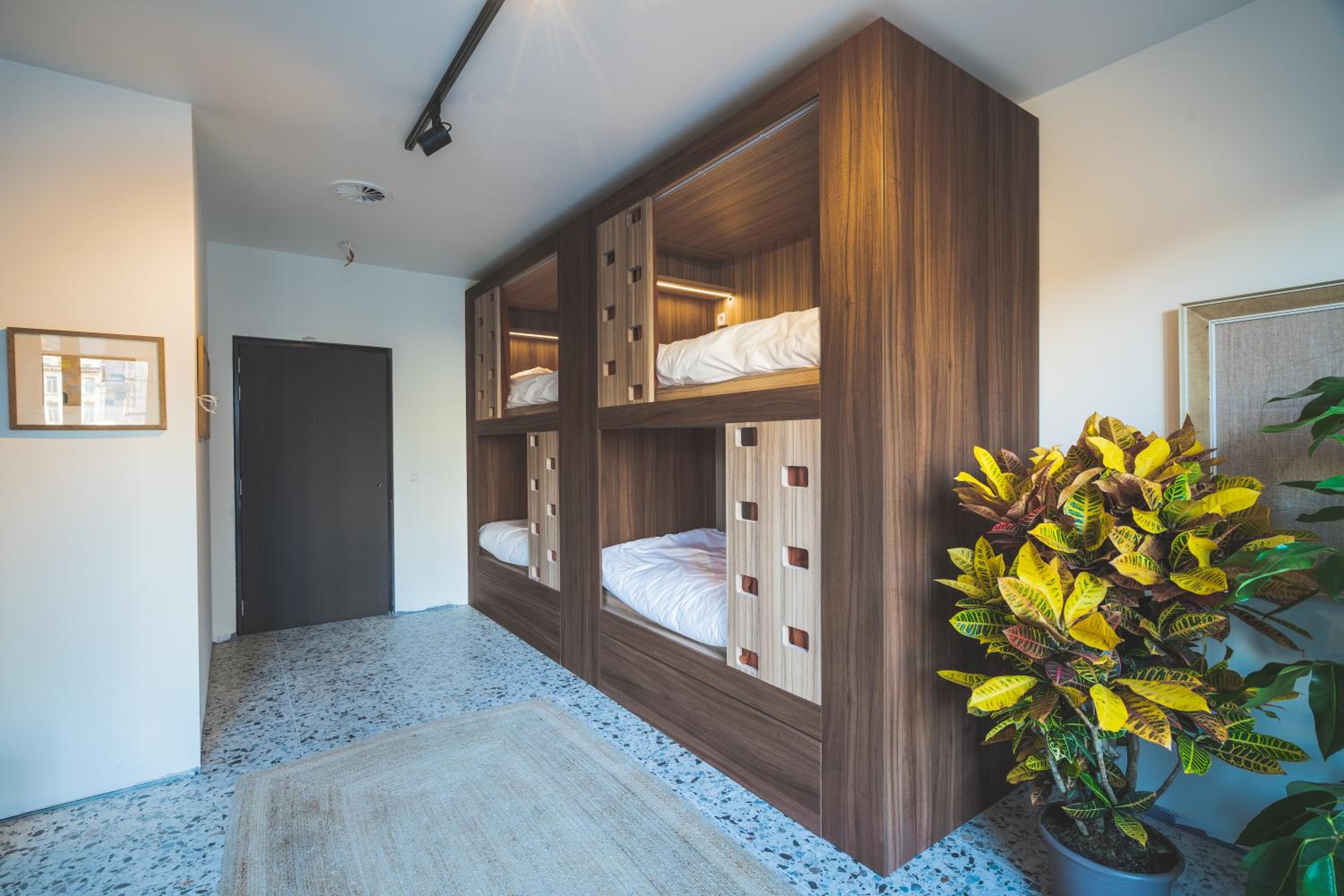 Bunk Bed in Mixed Dormitory Room