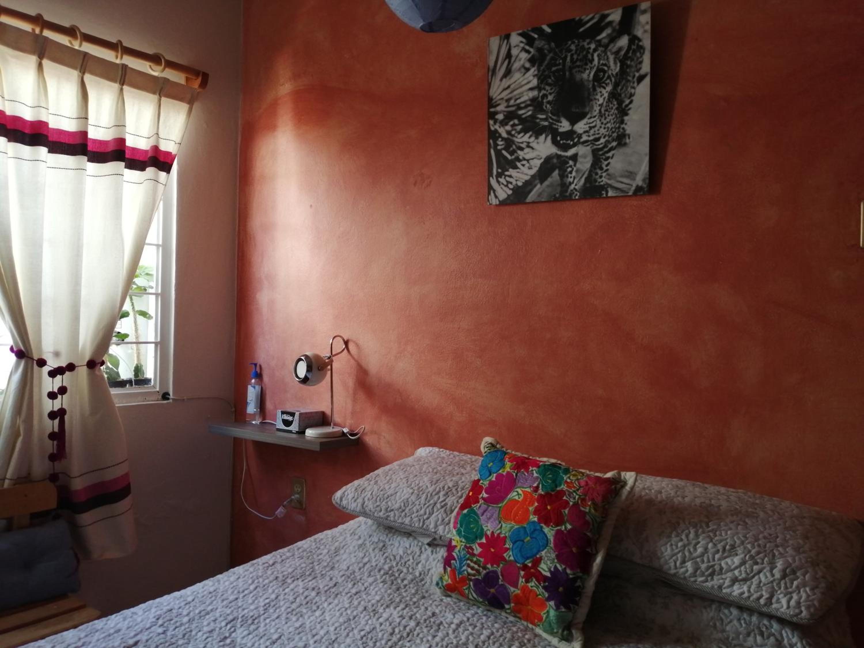 One-Bedroom House photo 3