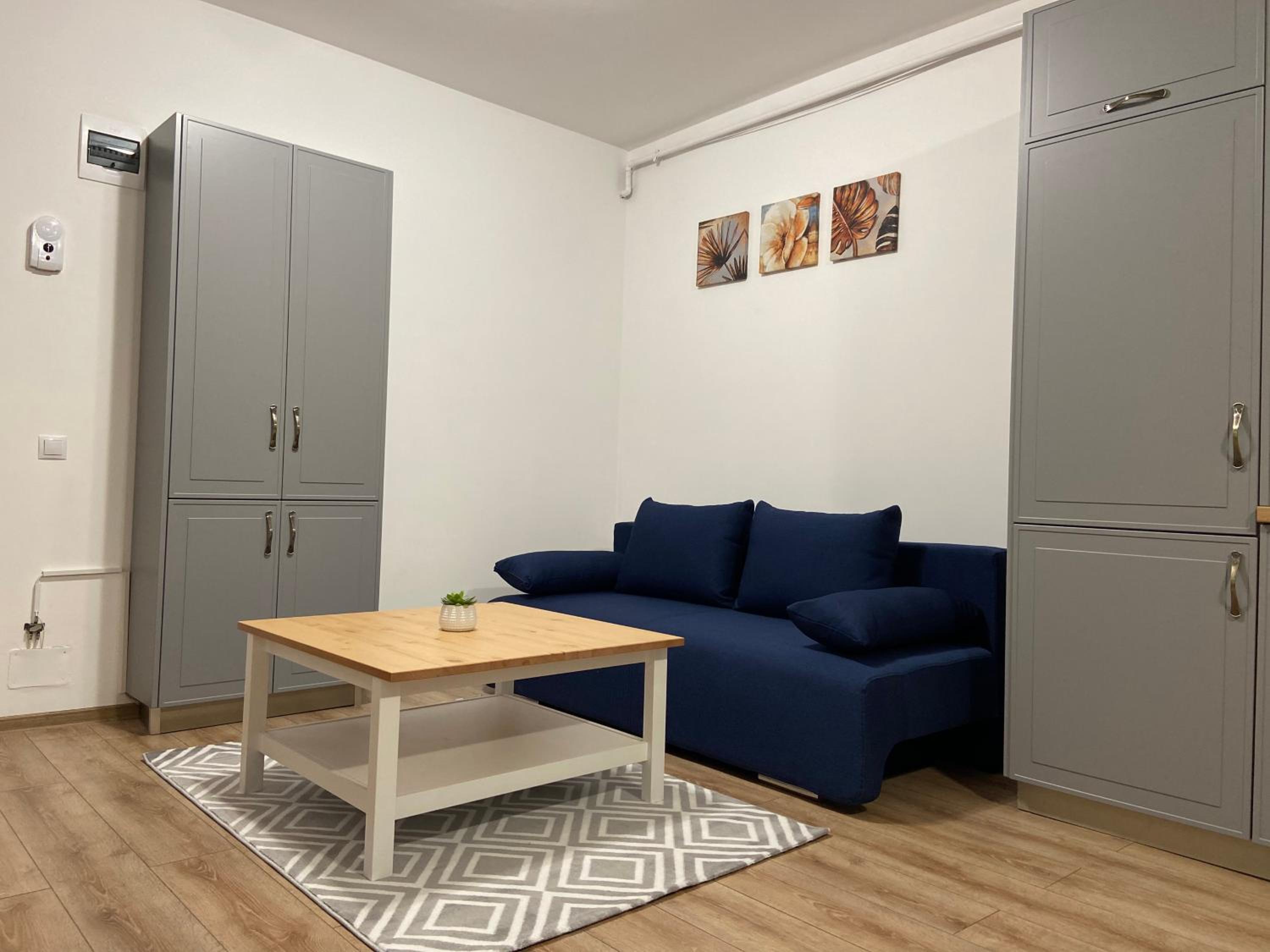 One-Bedroom Apartment - Photo 11