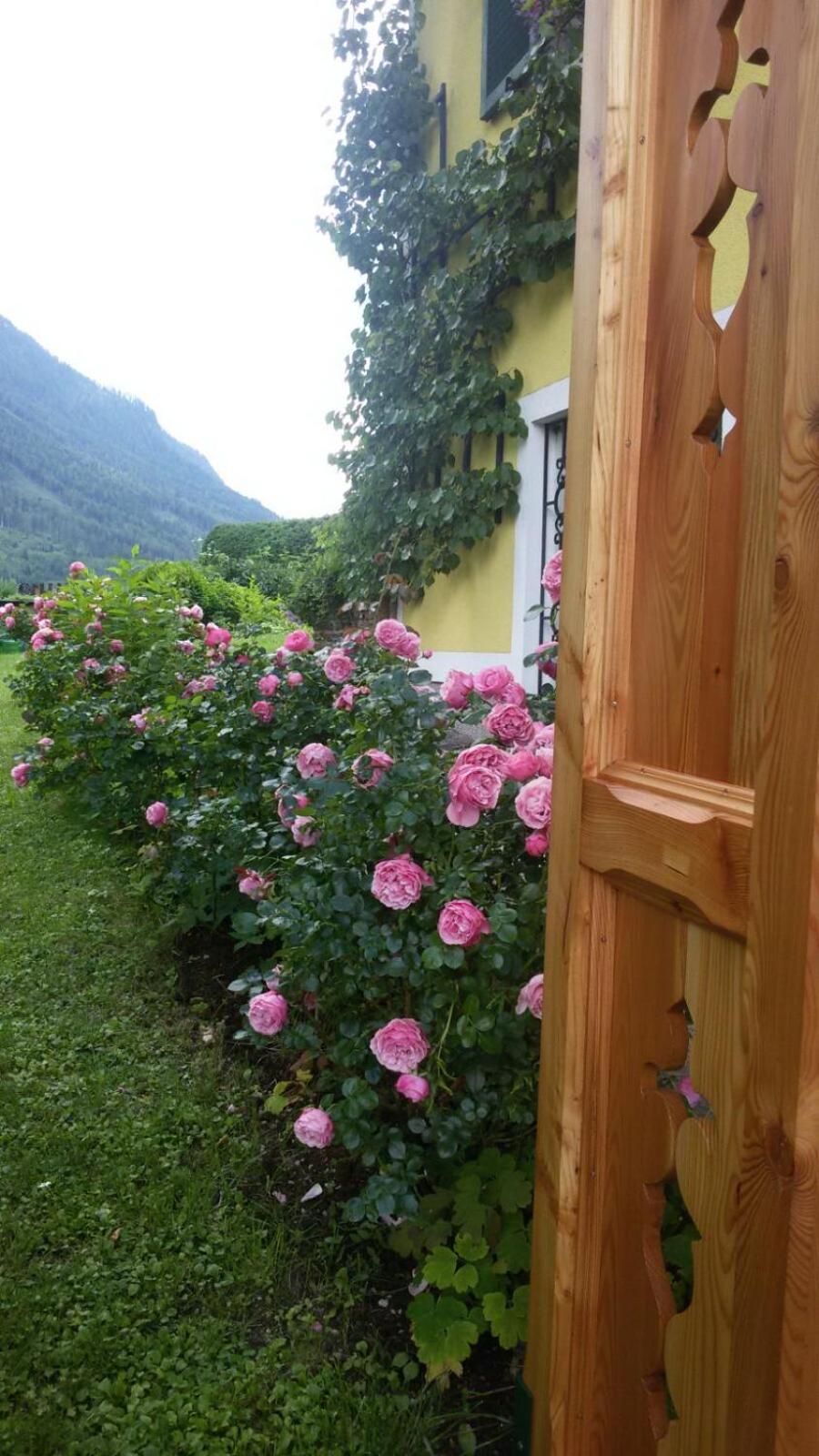 Apartment with Terrace photo 3