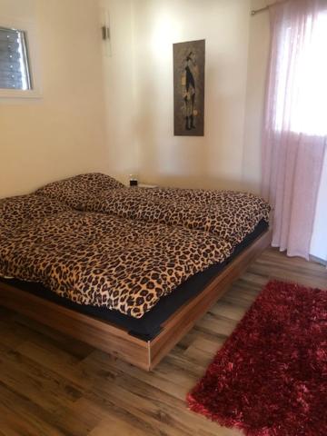 Three-Bedroom Chalet photo 2