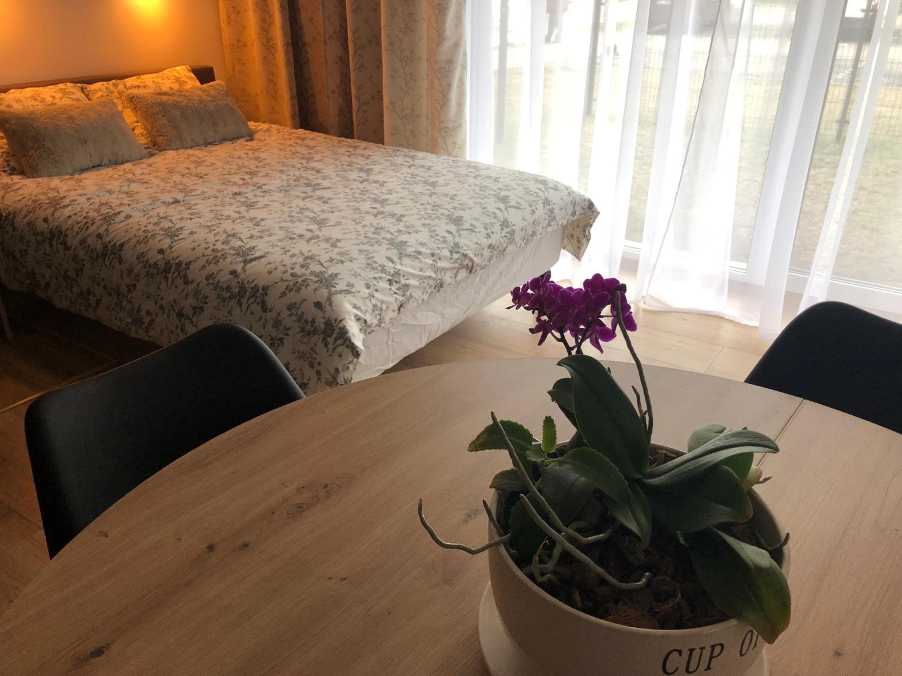One-Bedroom Apartment - Photo 11