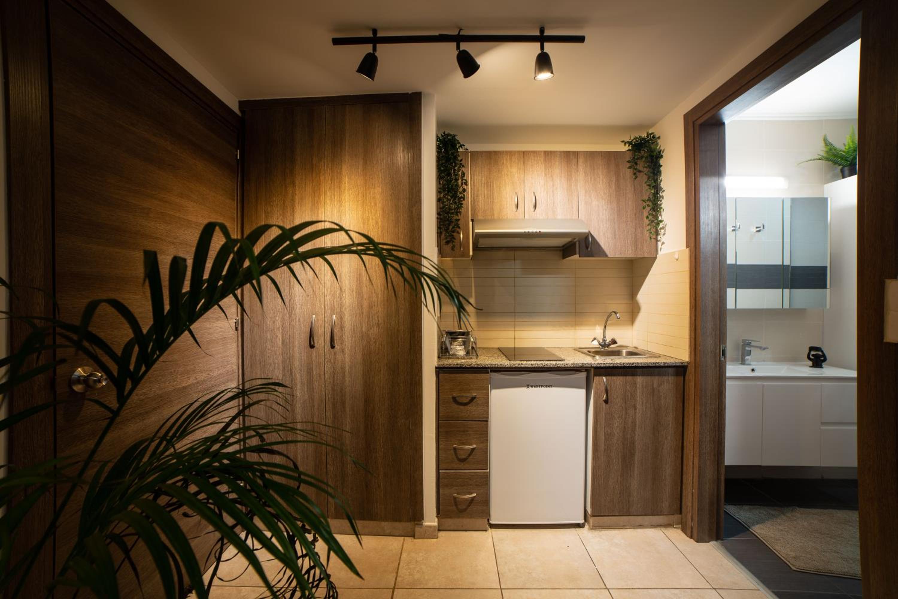 Studio Apartment photo 3