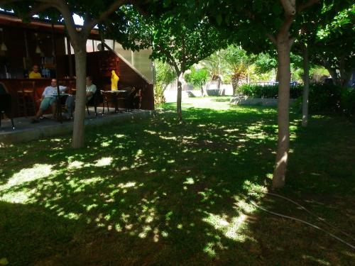 Apartment with Terrace photo 2