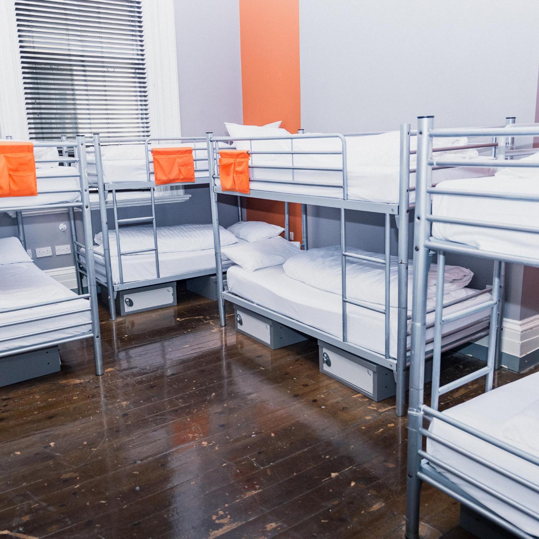 Bunk Bed in Mixed Dormitory Room photo 1