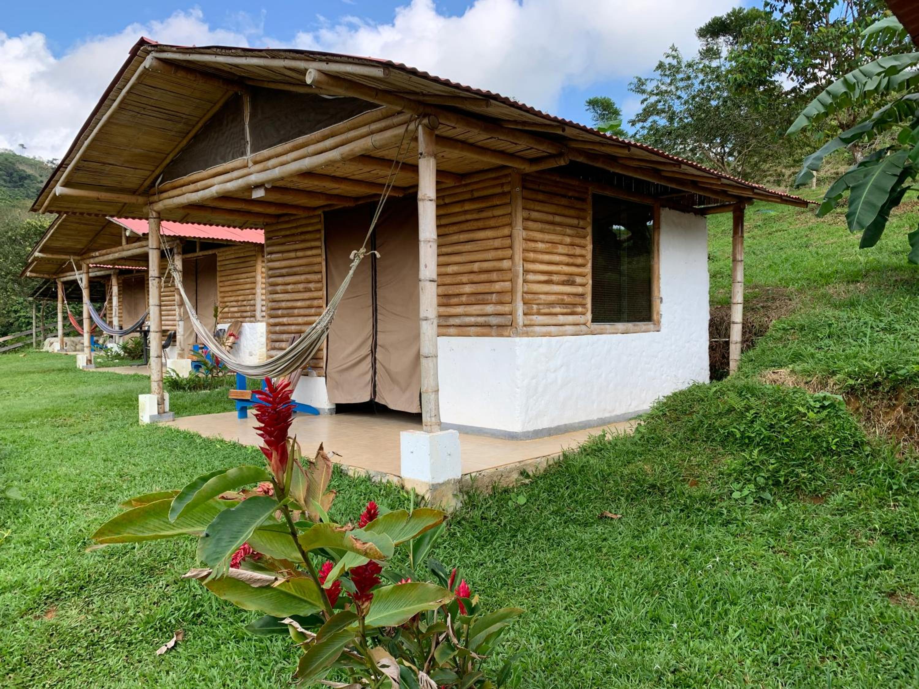 Double Room with Lake View photo 3