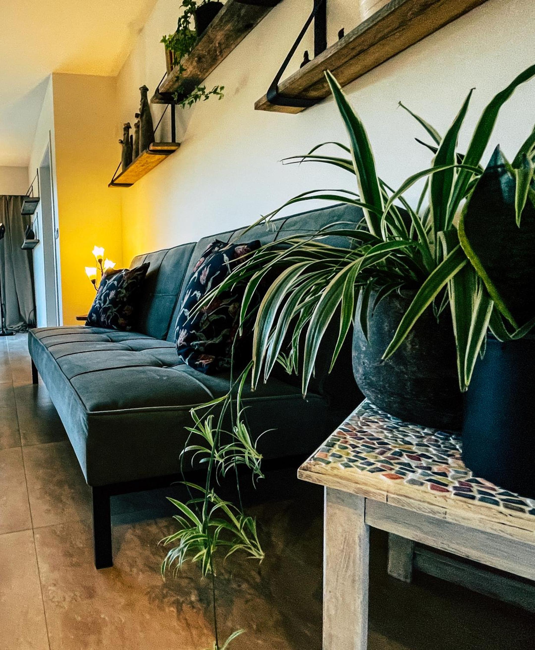 One-Bedroom Villa photo 2