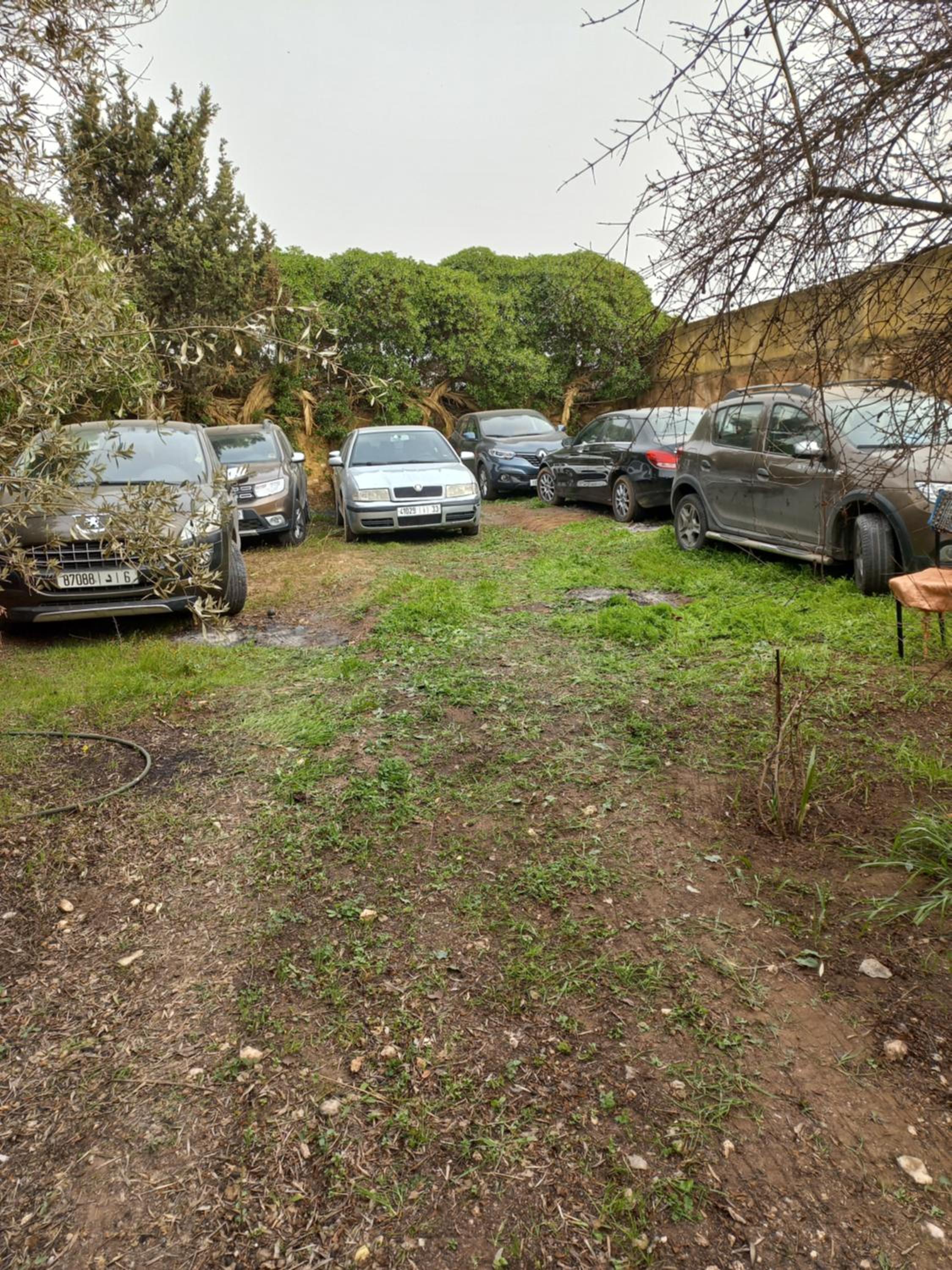 Villa - Photo 39