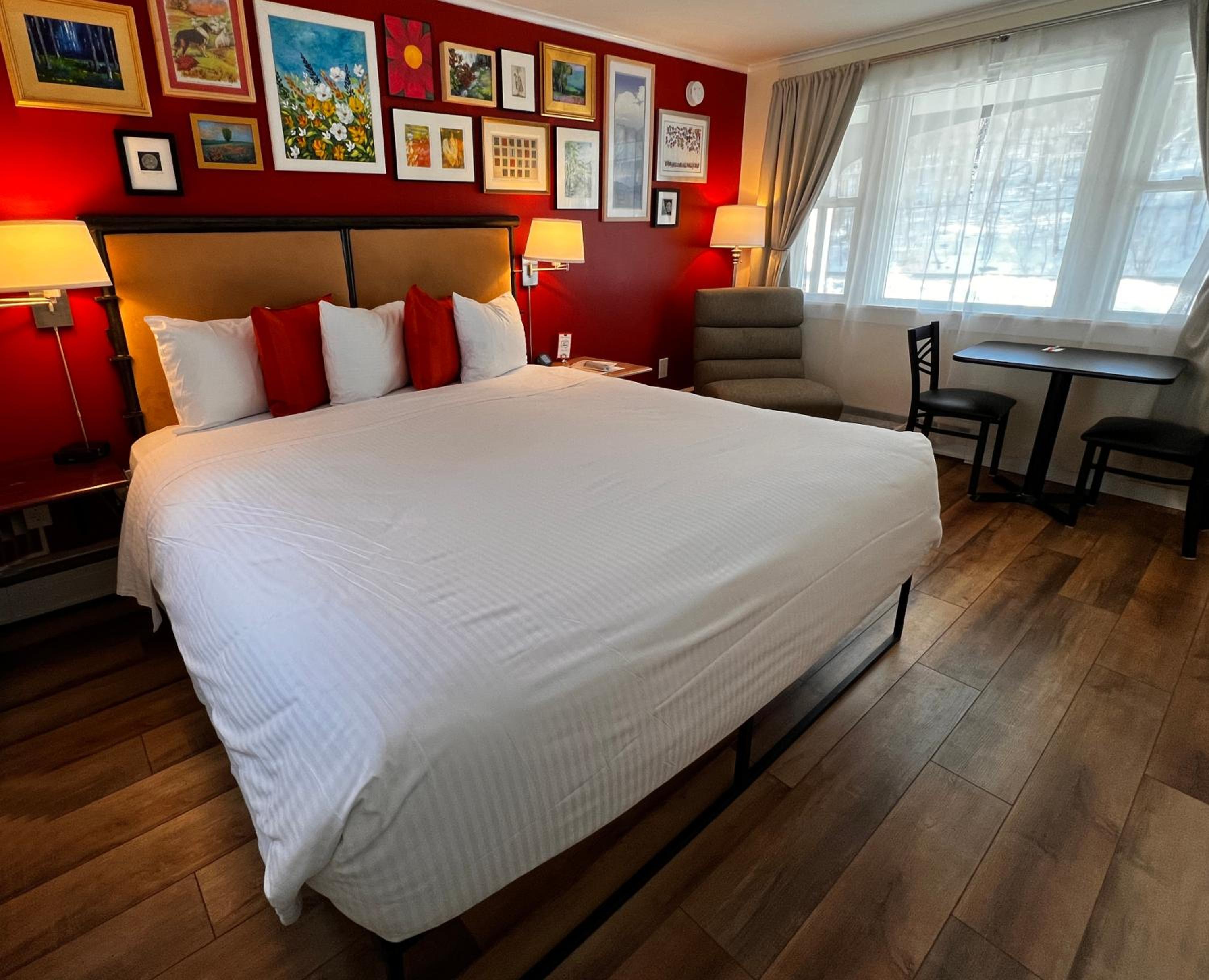Dog-Friendly King Room photo 1