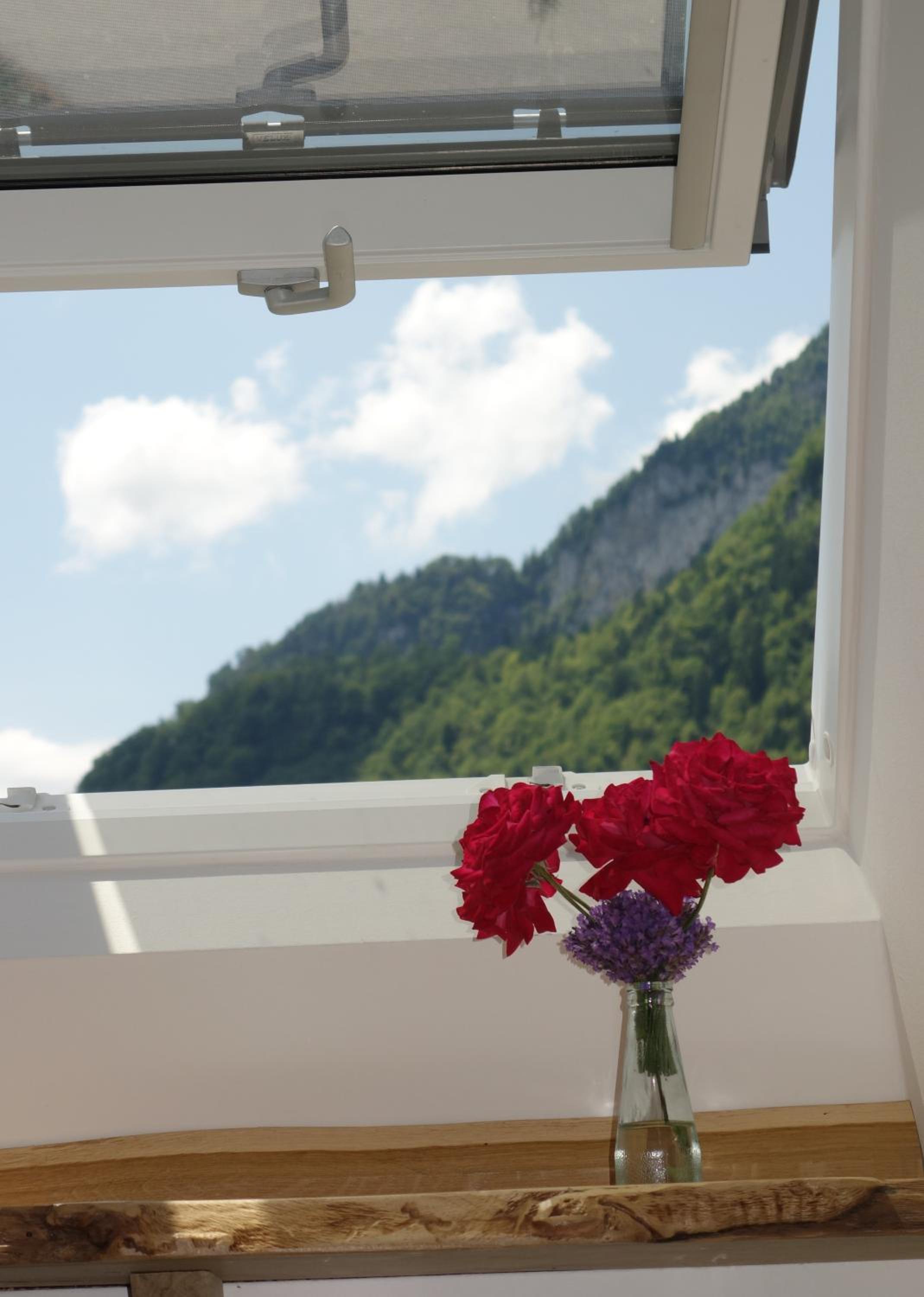 Studio with Mountain View photo 3