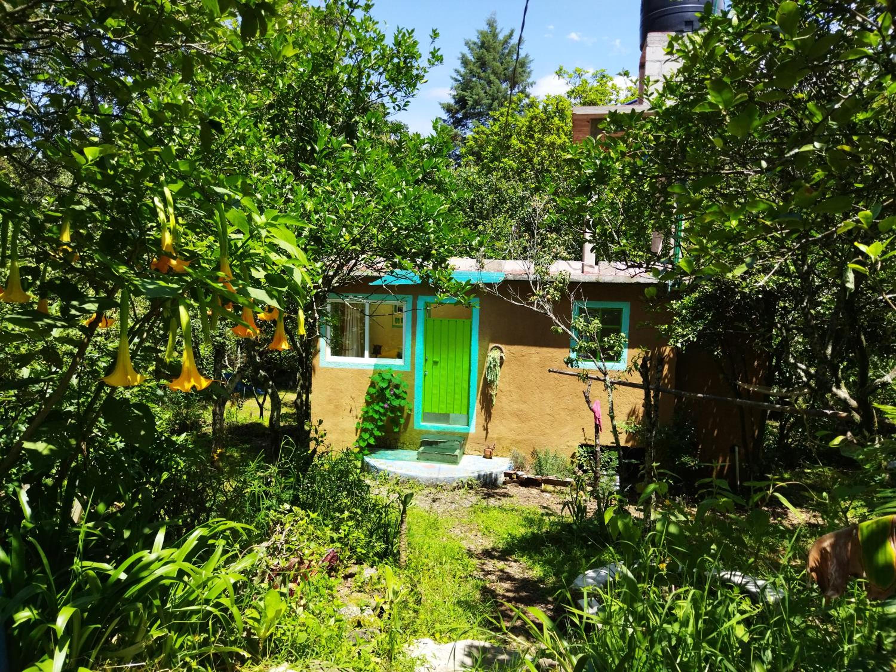Bungalow with Garden View - Photo 10