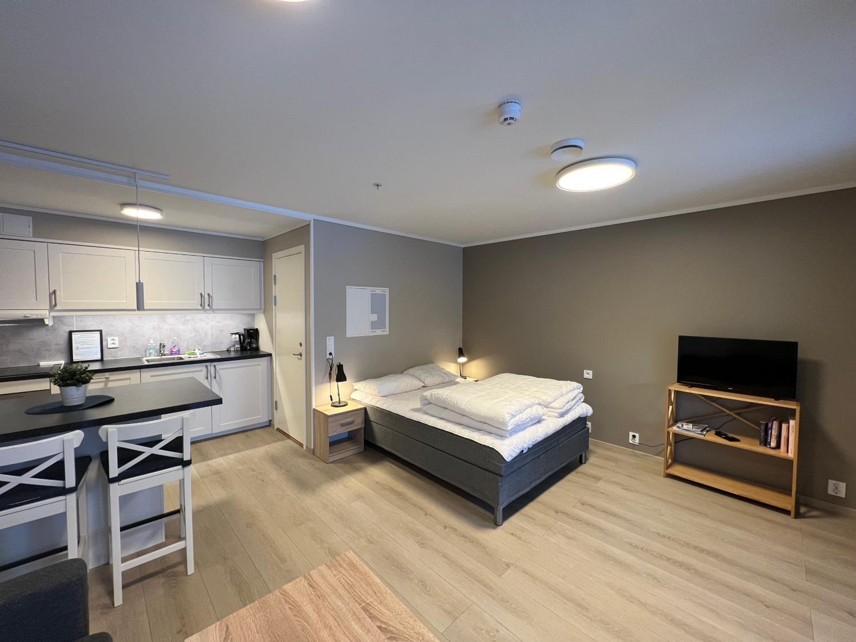 Studio Apartment photo 1