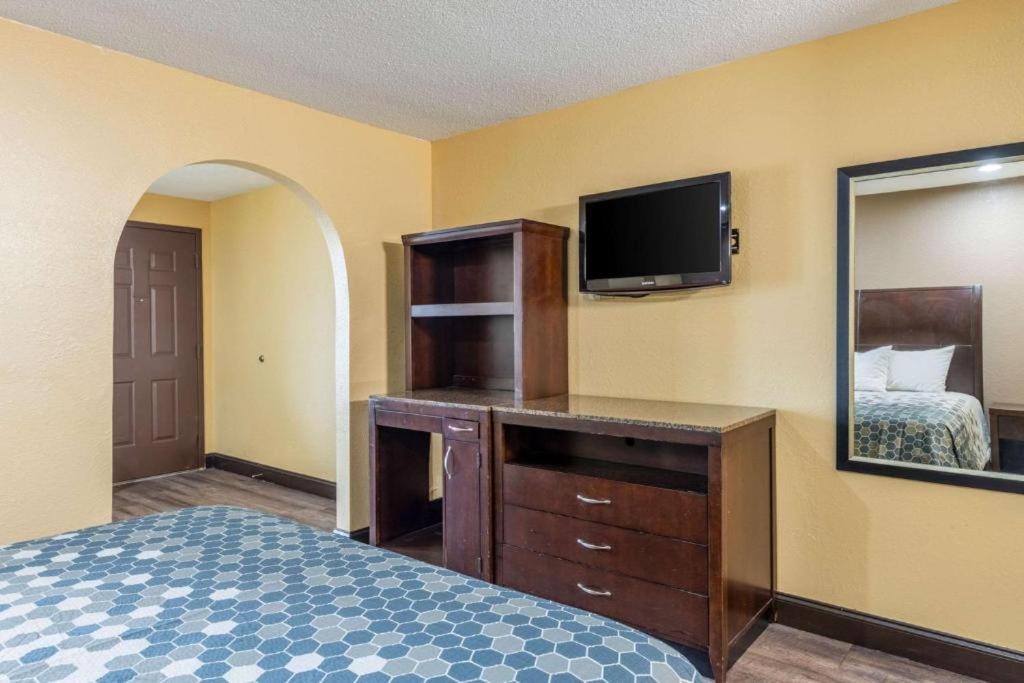 King Suite photo 2