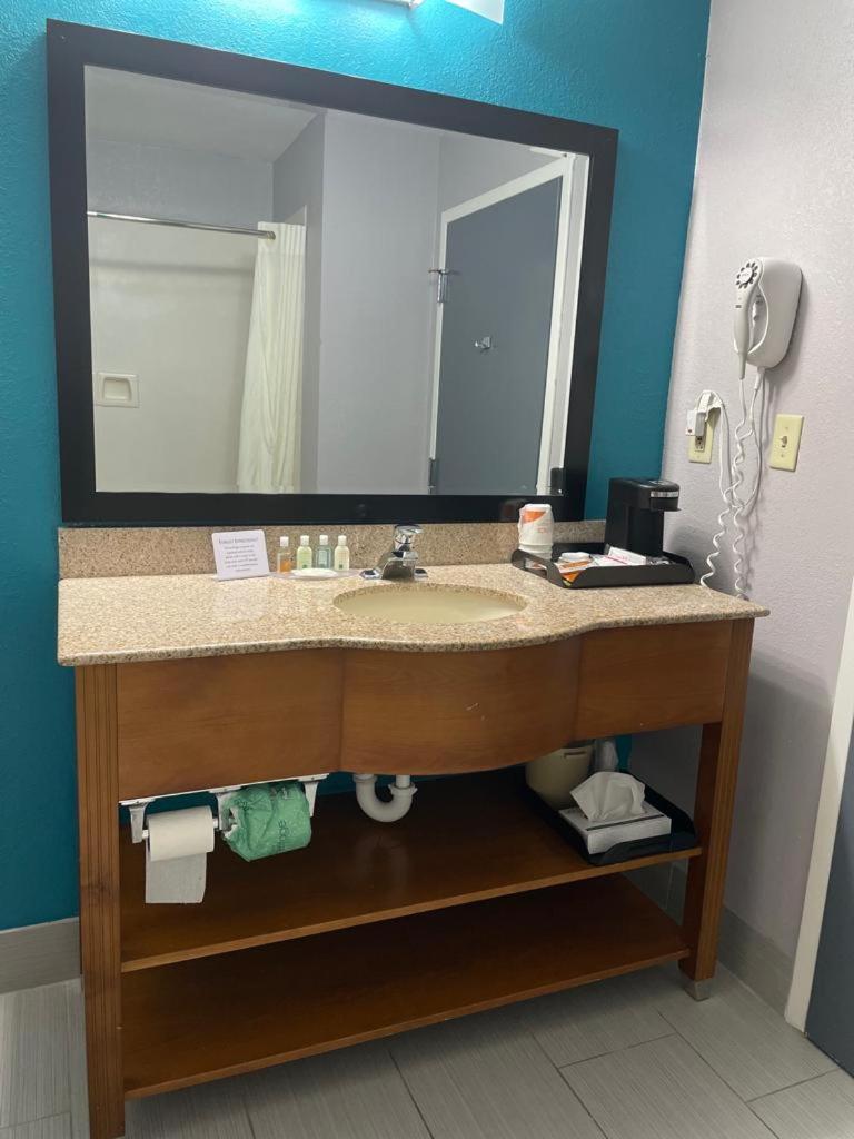 King Room photo 2
