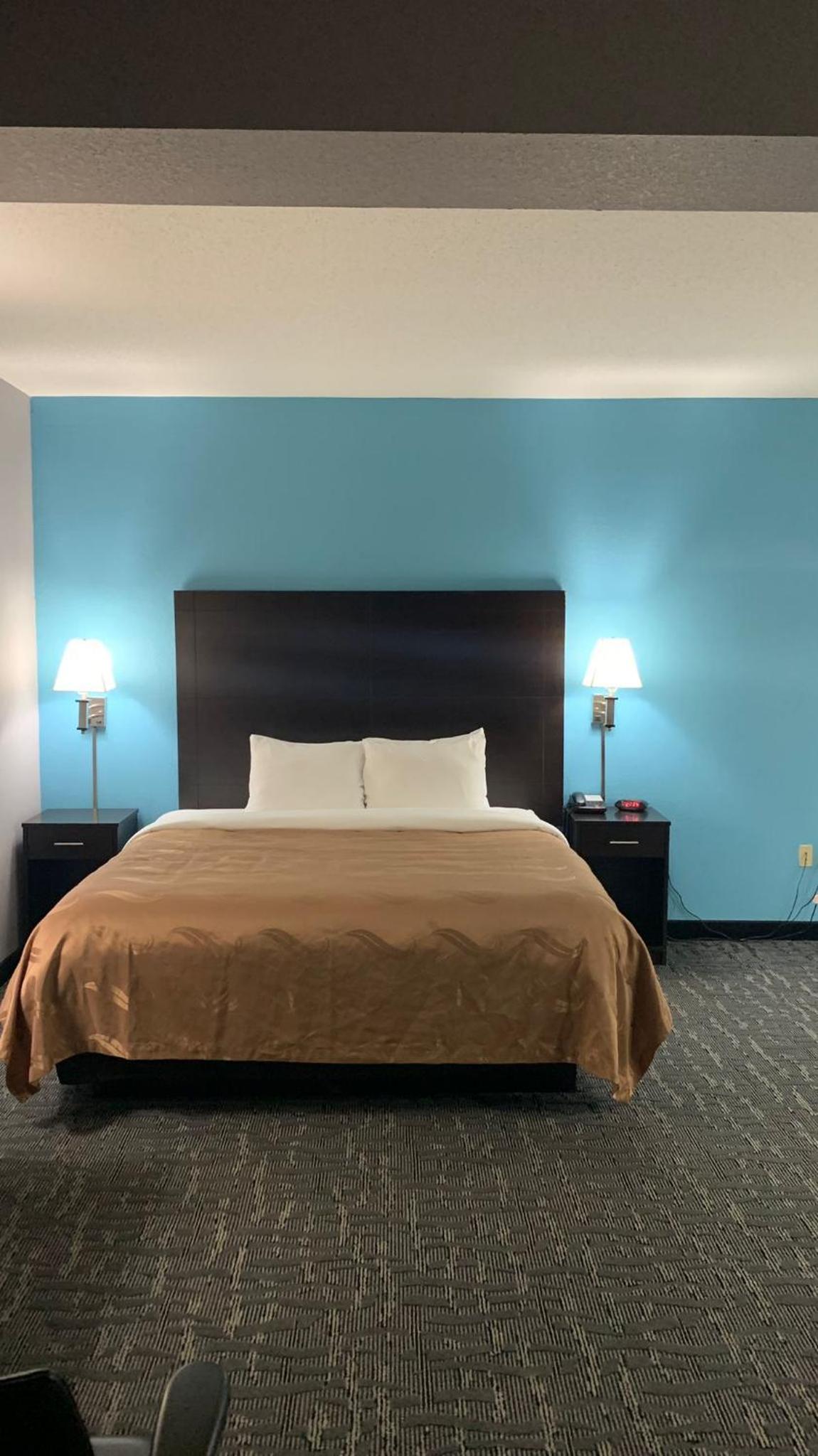 King Room photo 1