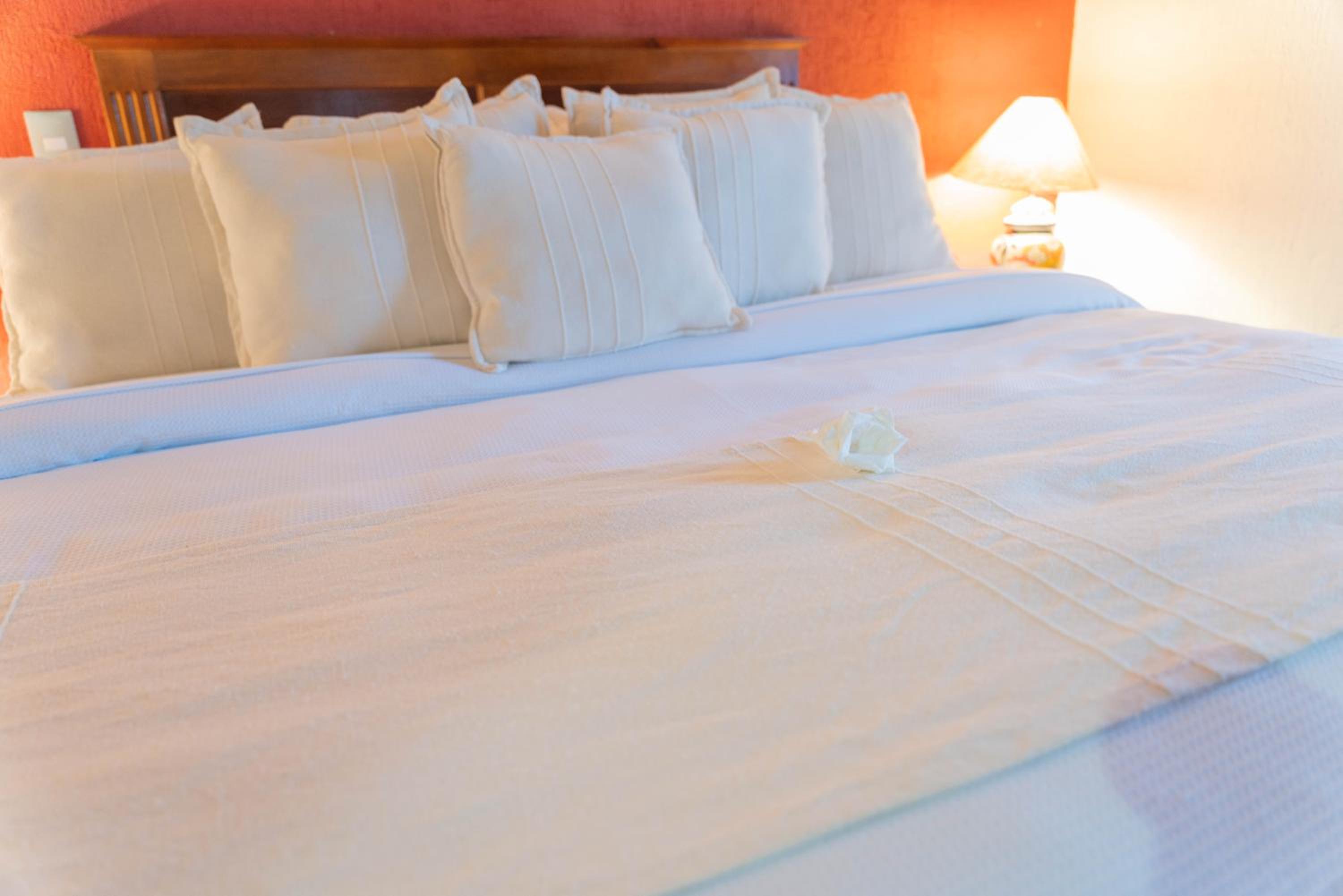 Deluxe King Room - Photo 2