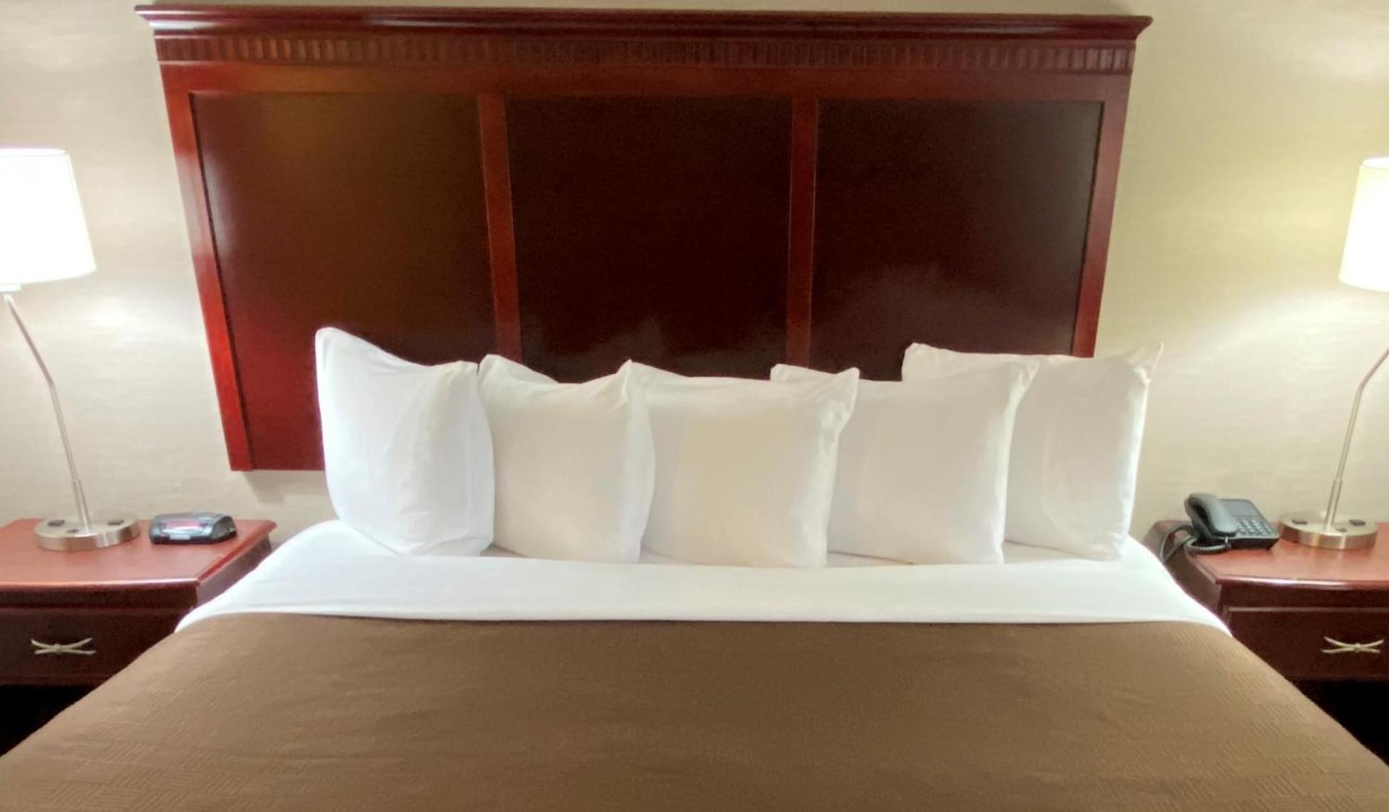 King Room - Photo 1
