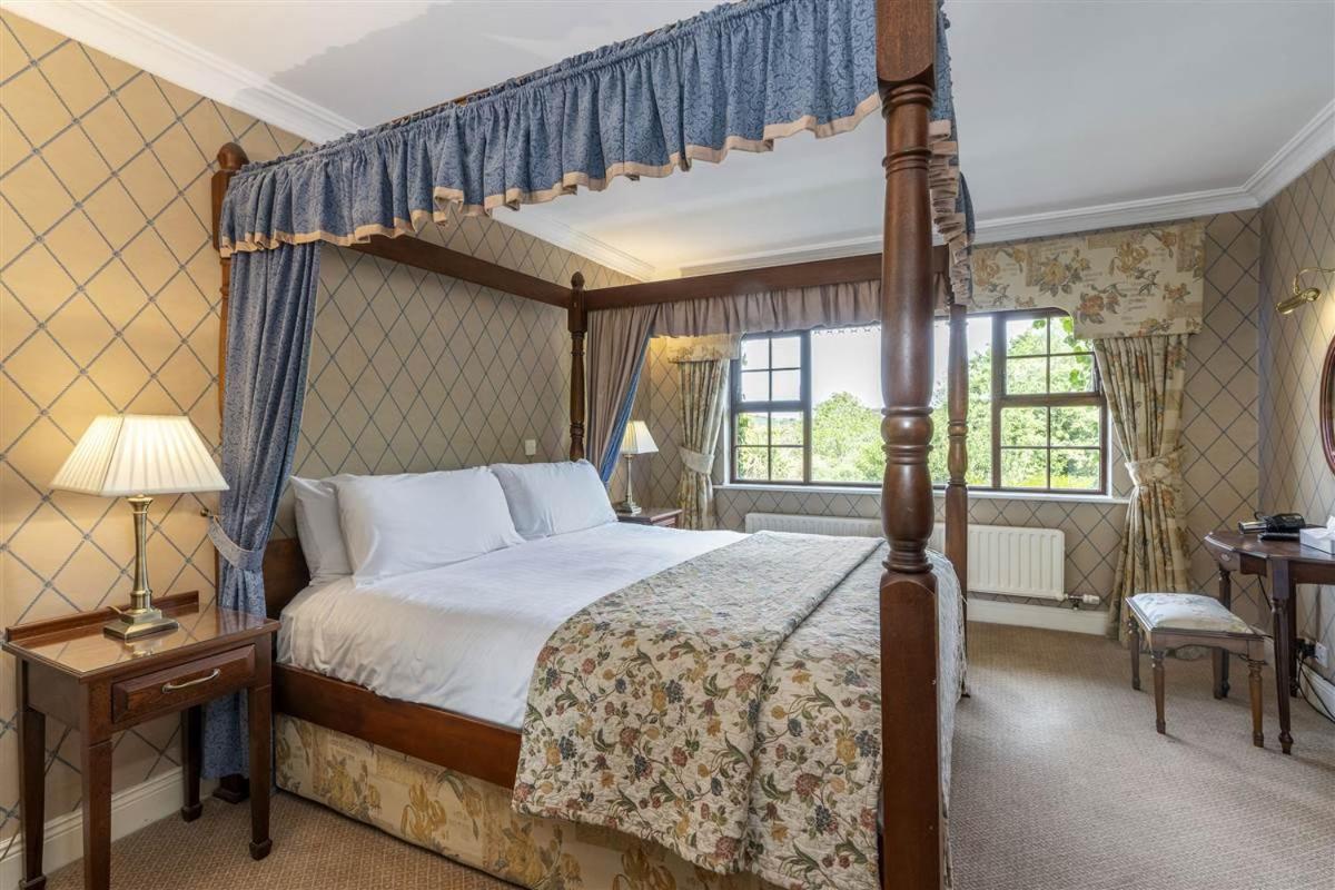 Suite - Photo 1