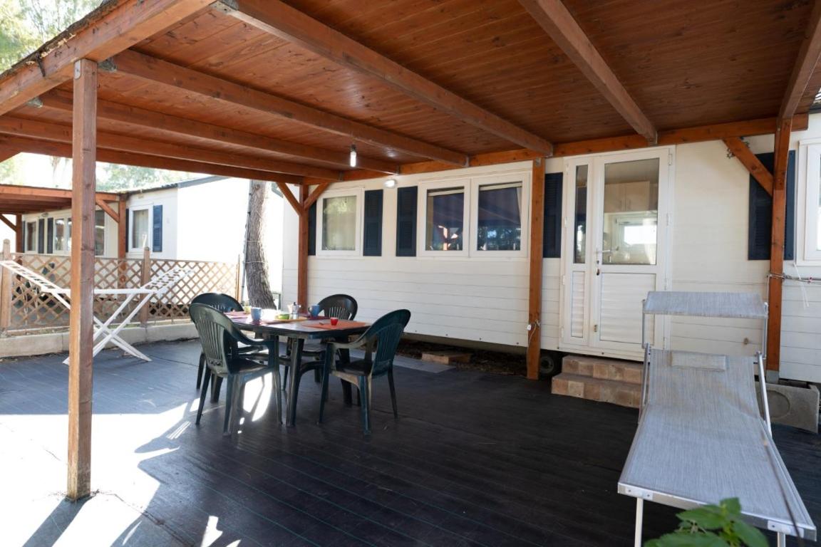 Mobile Home photo 3