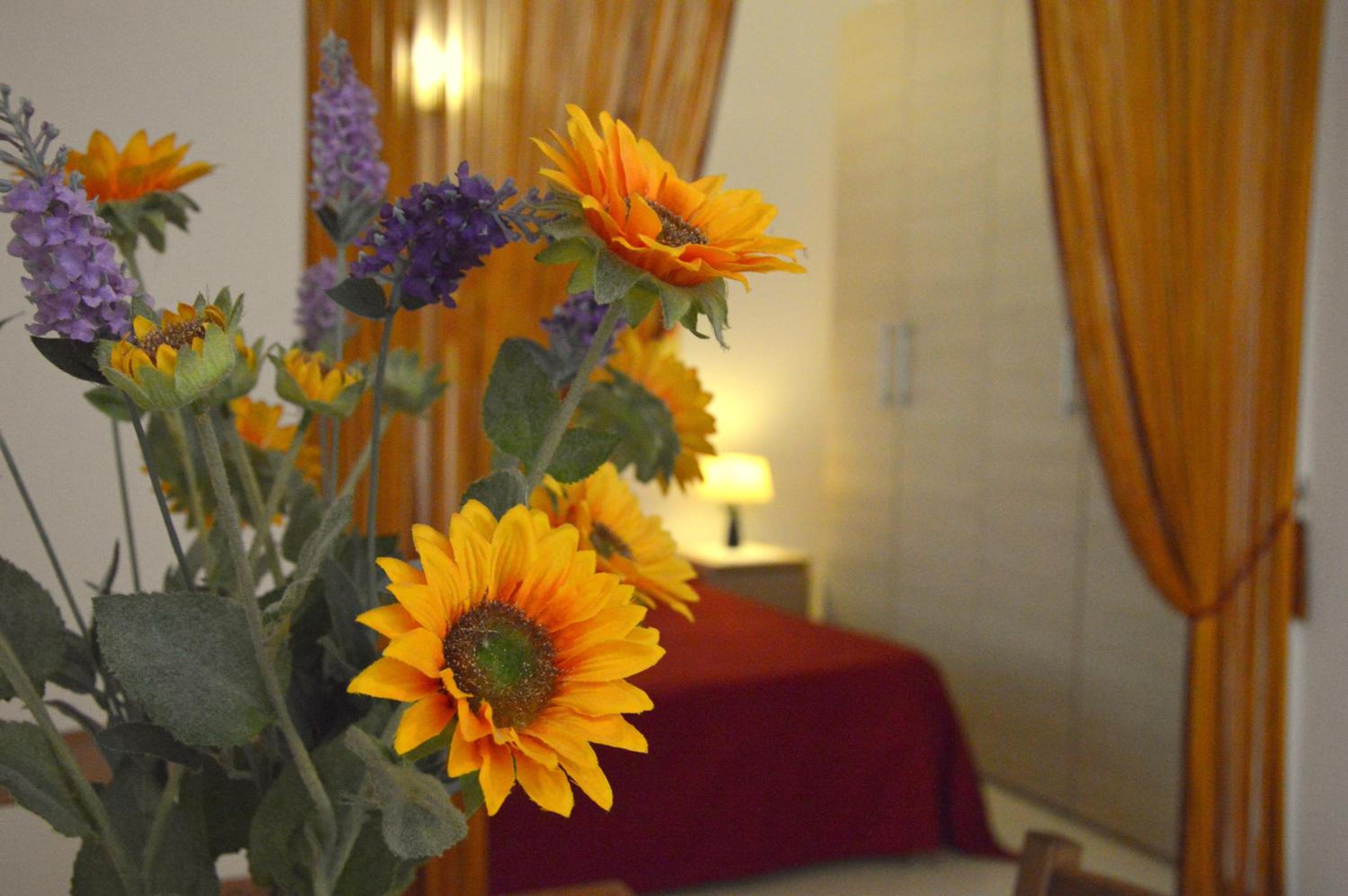 Apartment with Balcony photo 1