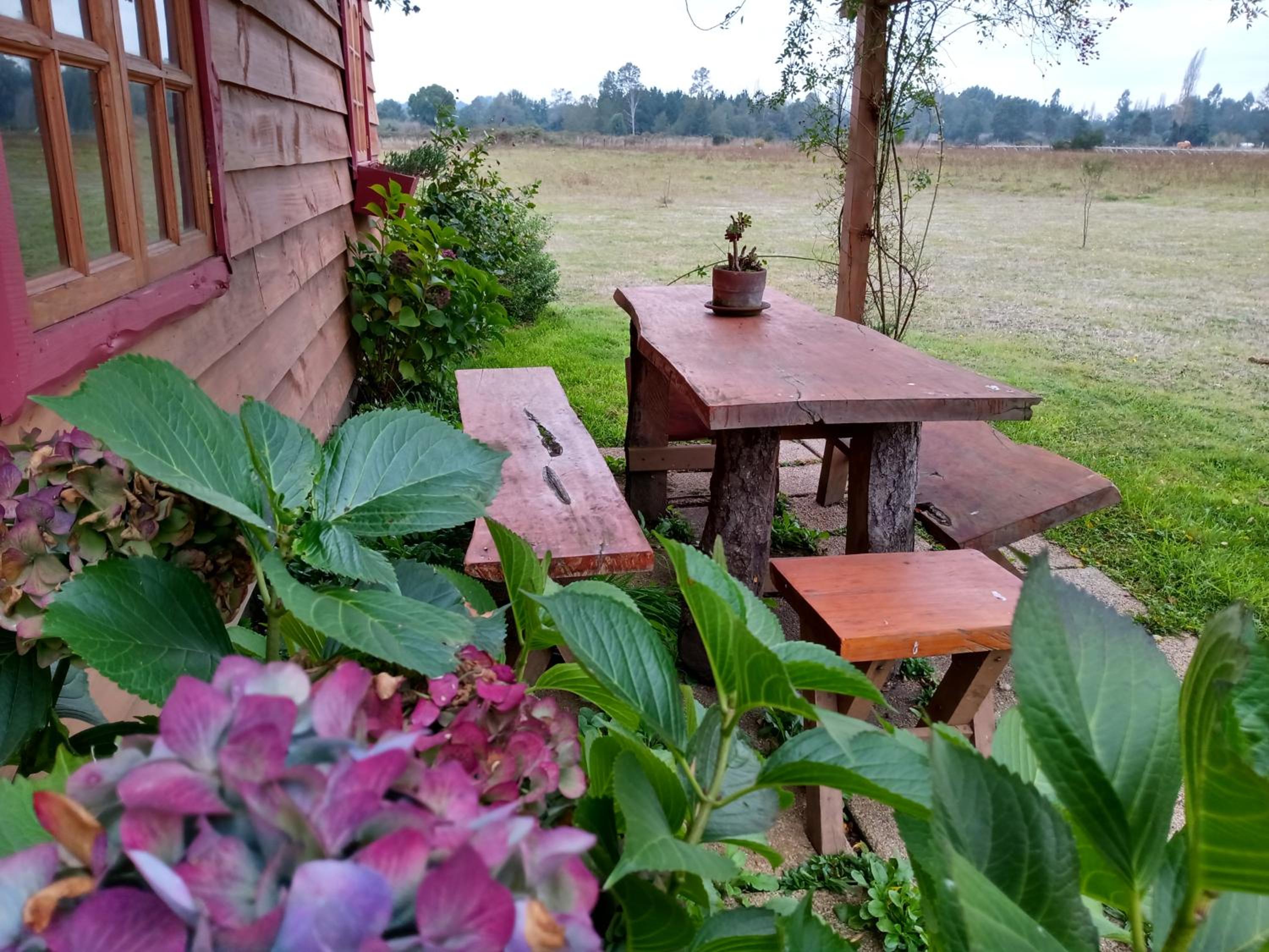 Cottage with Garden View photo 2
