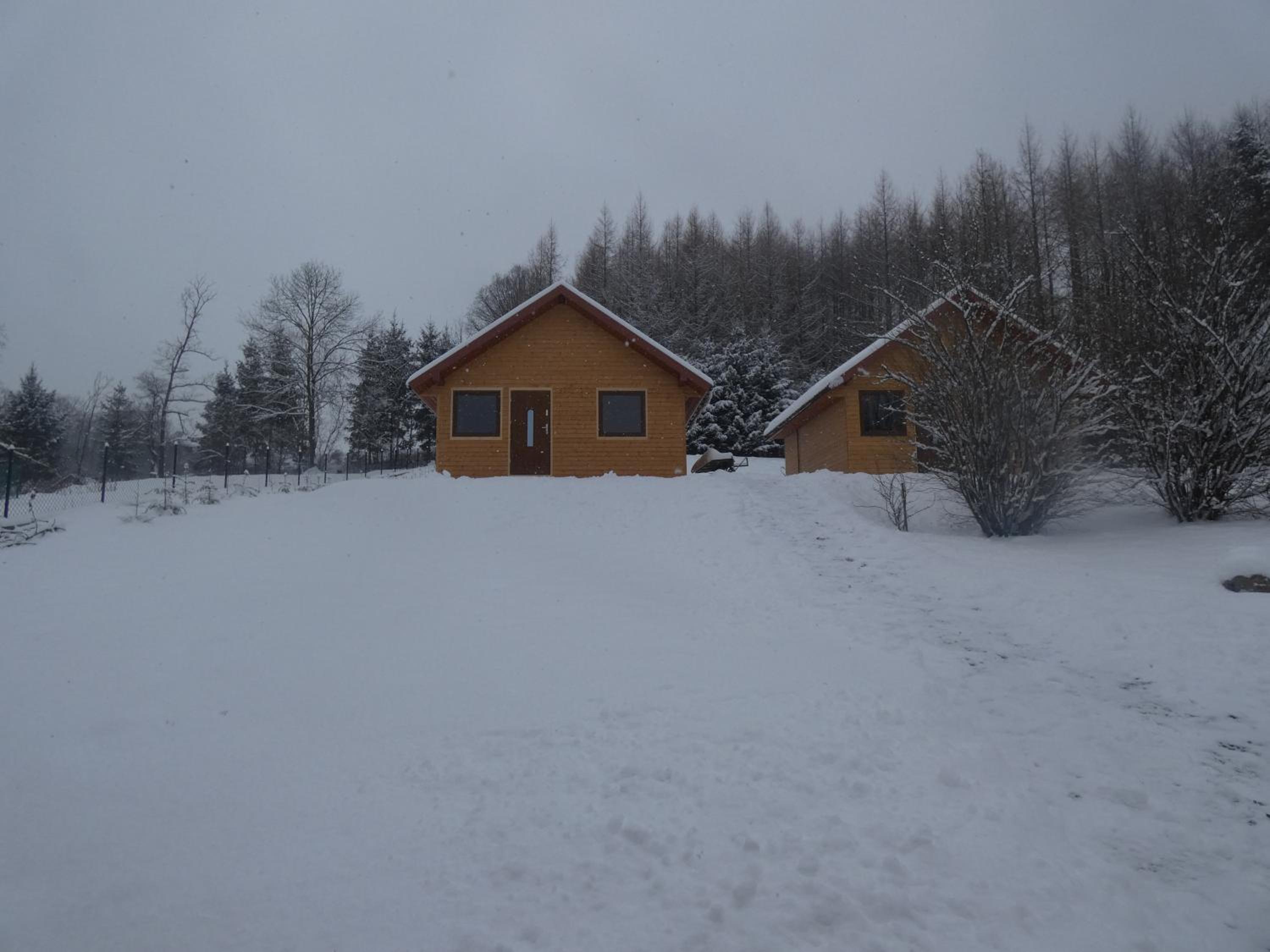 Two-Bedroom Chalet - Photo 1