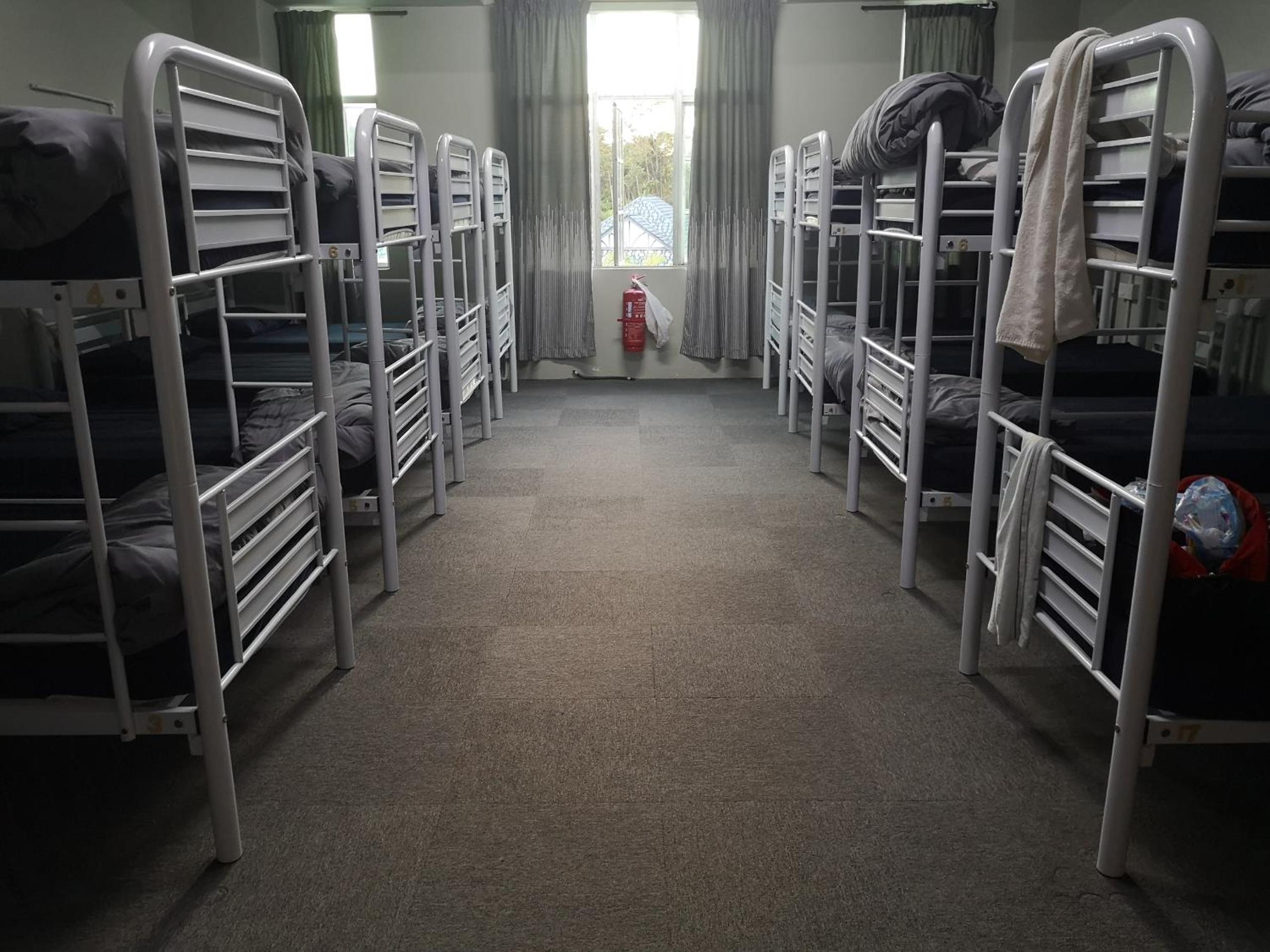 Single Bed In Mixed Dormitory Room photo 3