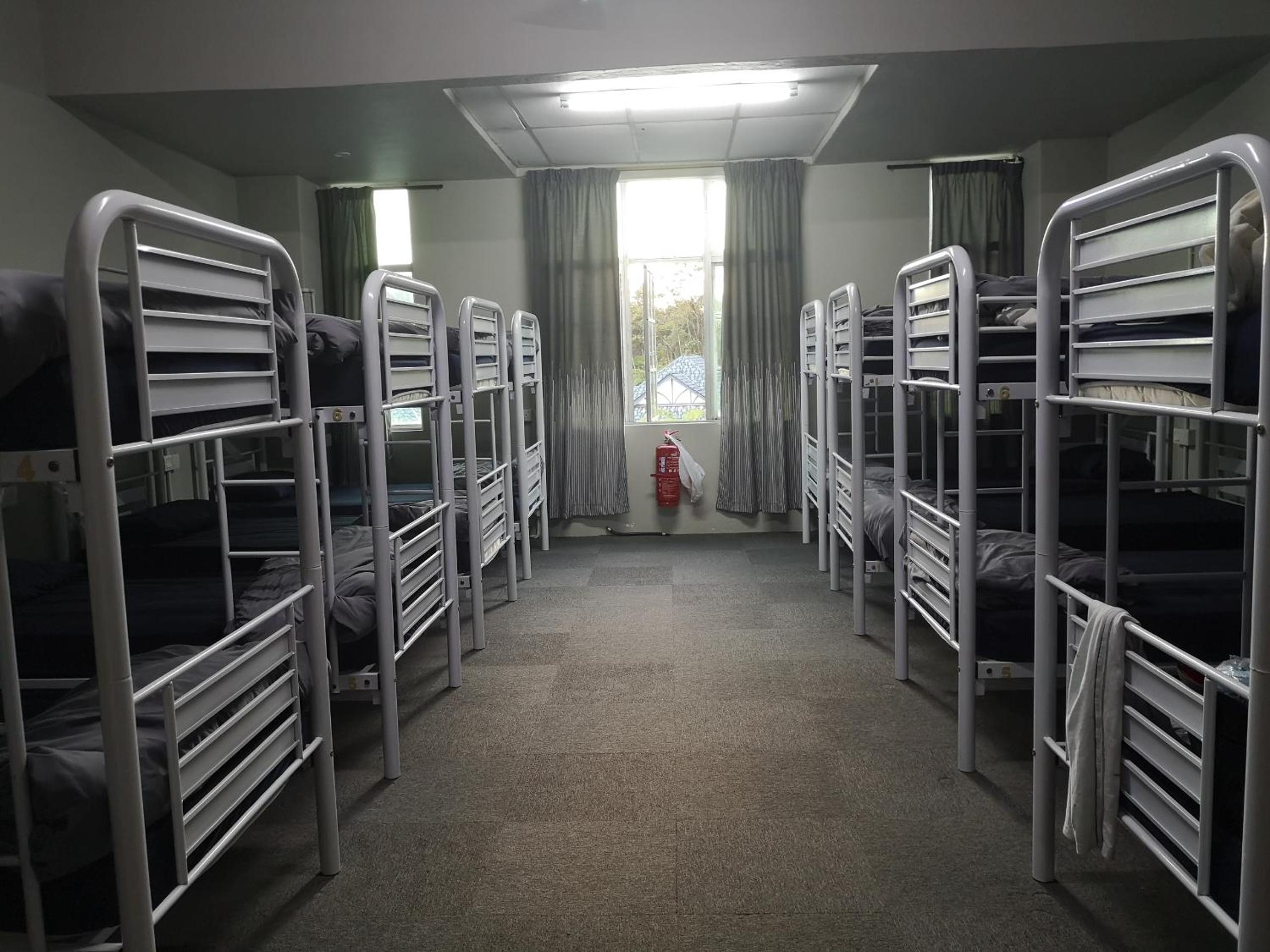 Single Bed In Mixed Dormitory Room photo 2