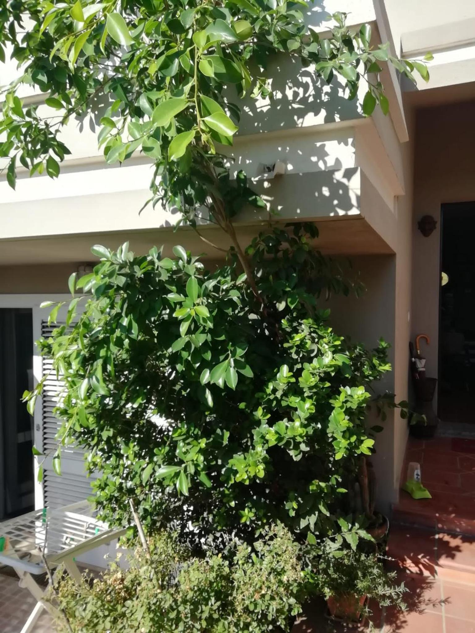 Triple Room With Garden View - Photo 13