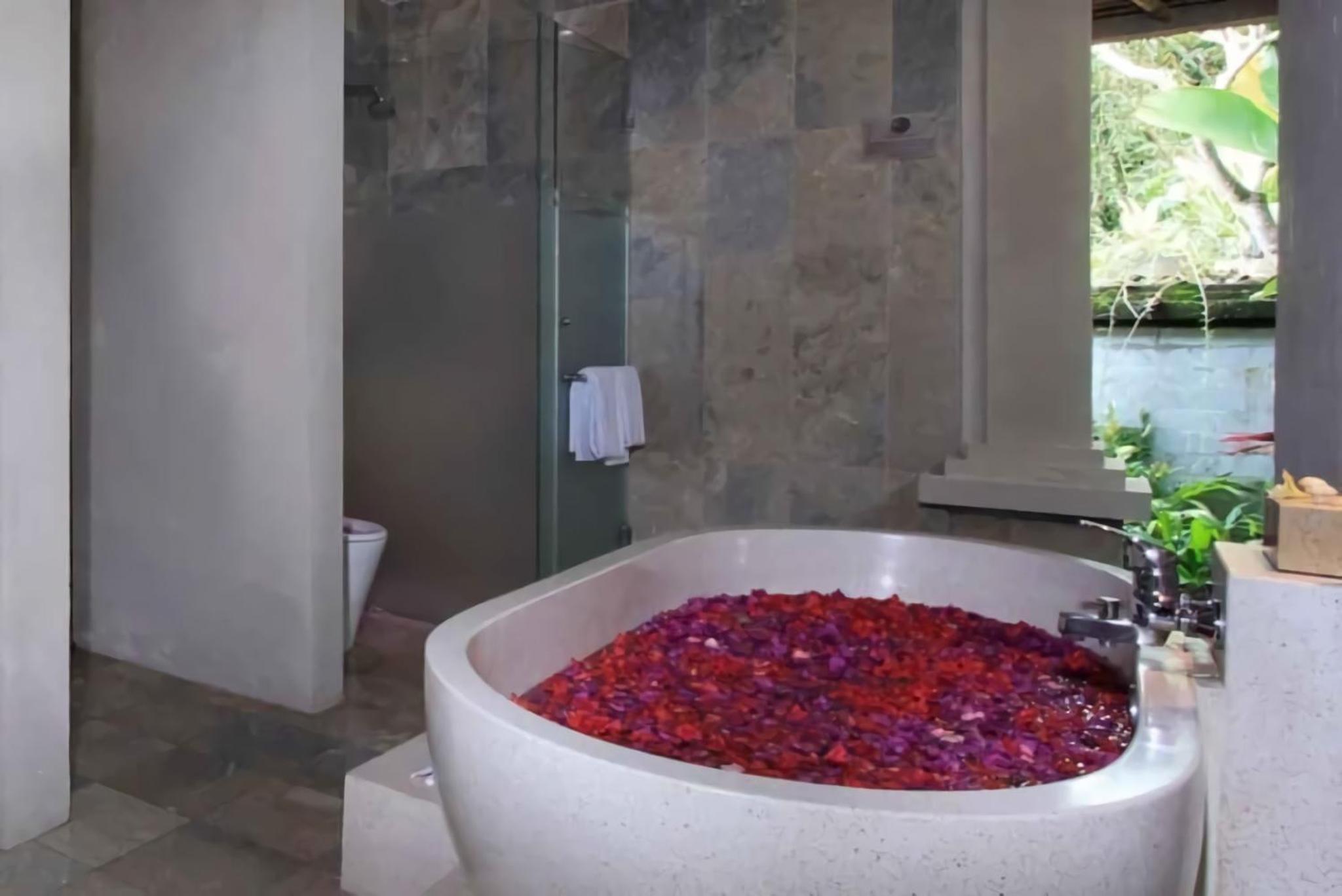 Two-Bedroom Villa - Photo 4